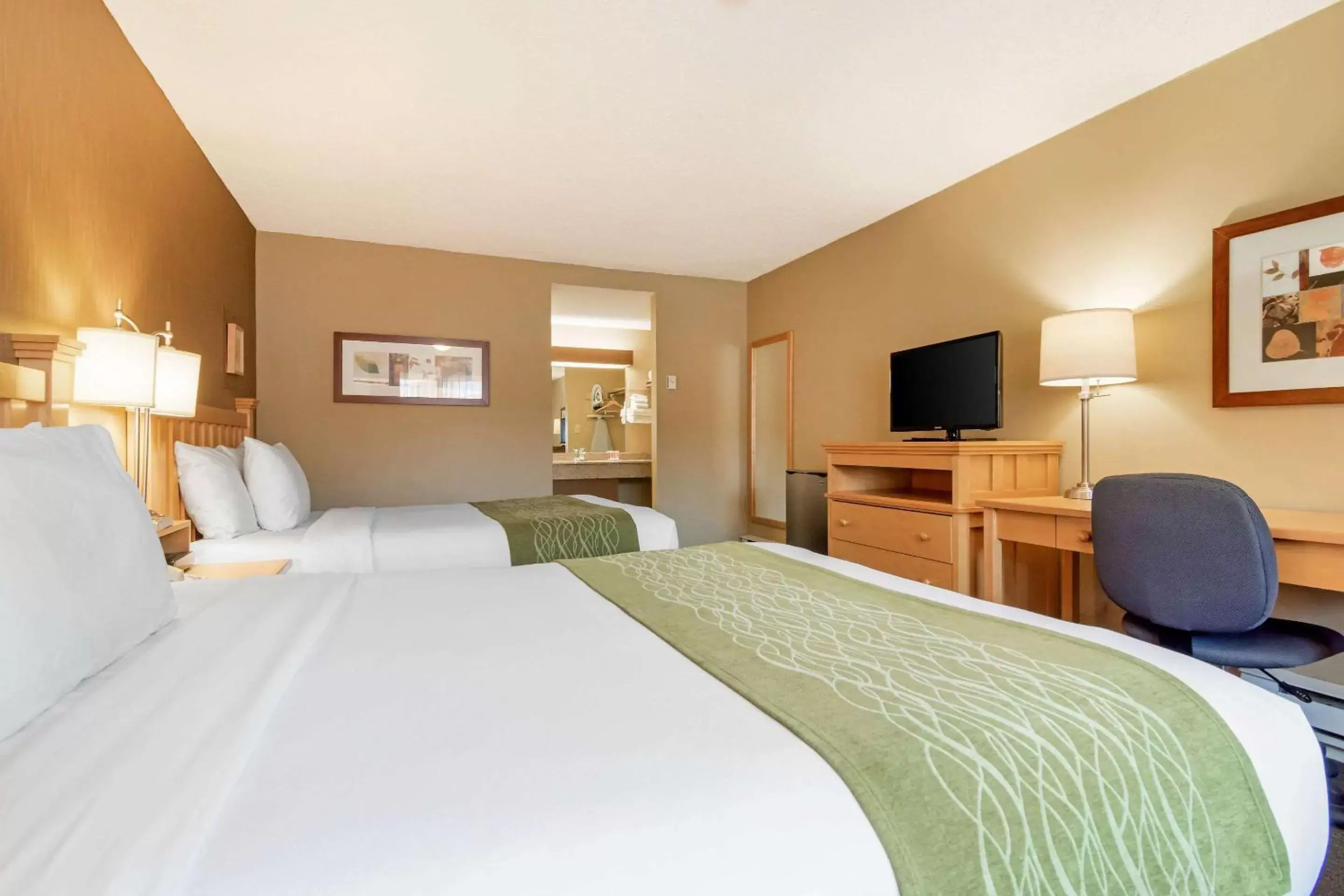 Photo of the whole room, Bed in Econo Lodge Inn & Suites - North Vancouver