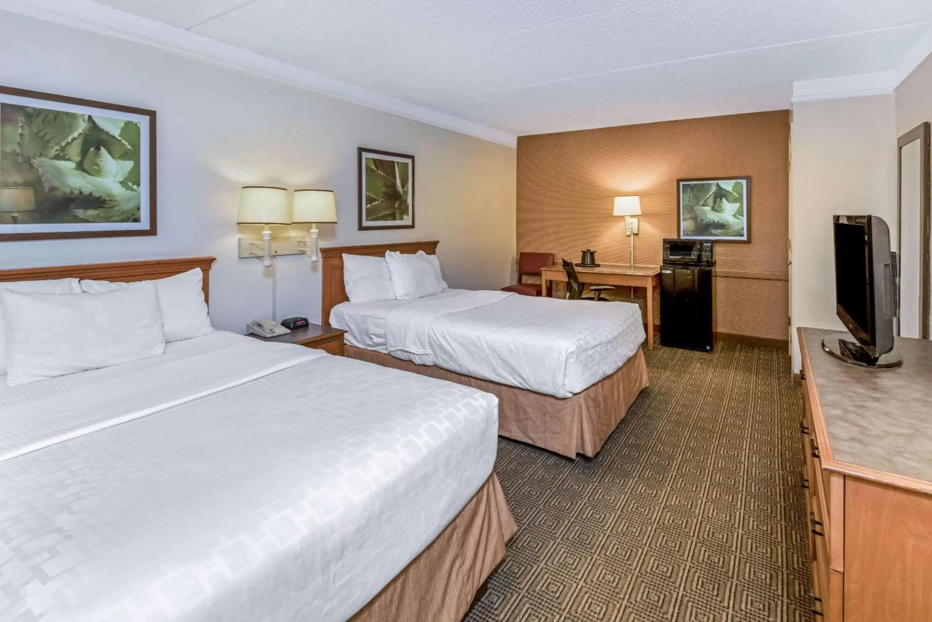 Photo of the whole room, Bed in La Quinta Inn by Wyndham San Antonio I-35 N at Rittiman Rd