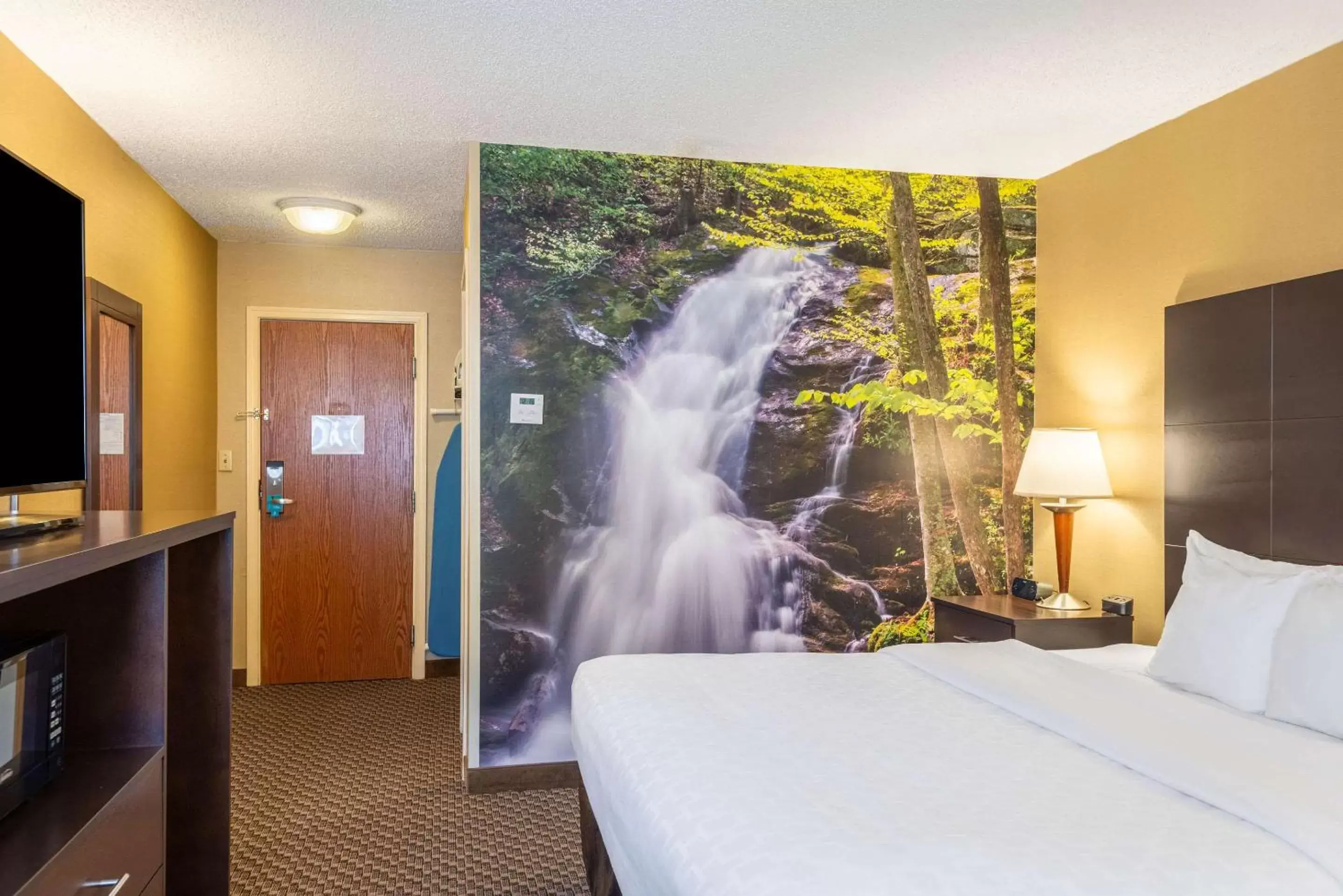 Photo of the whole room, Bed in Clarion Pointe Harrisonburg