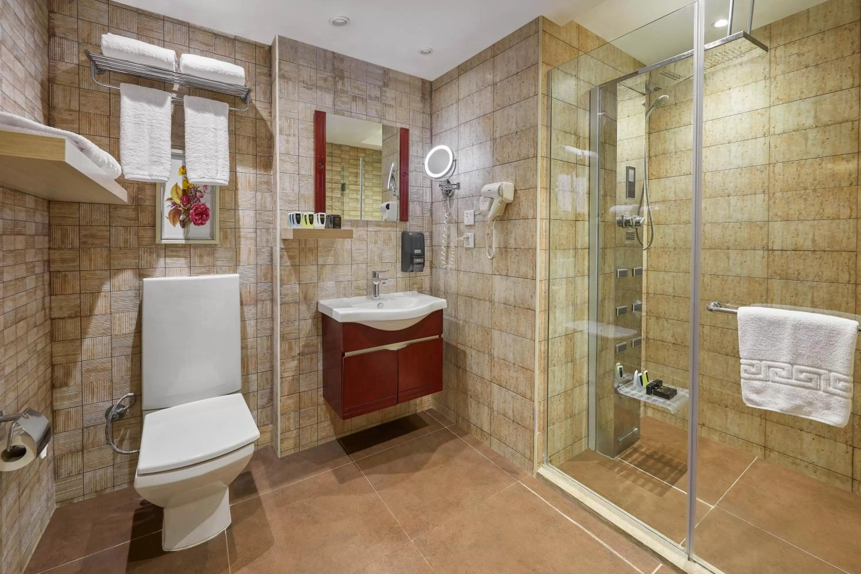 Shower in Golden Park Hotel Cairo, Heliopolis