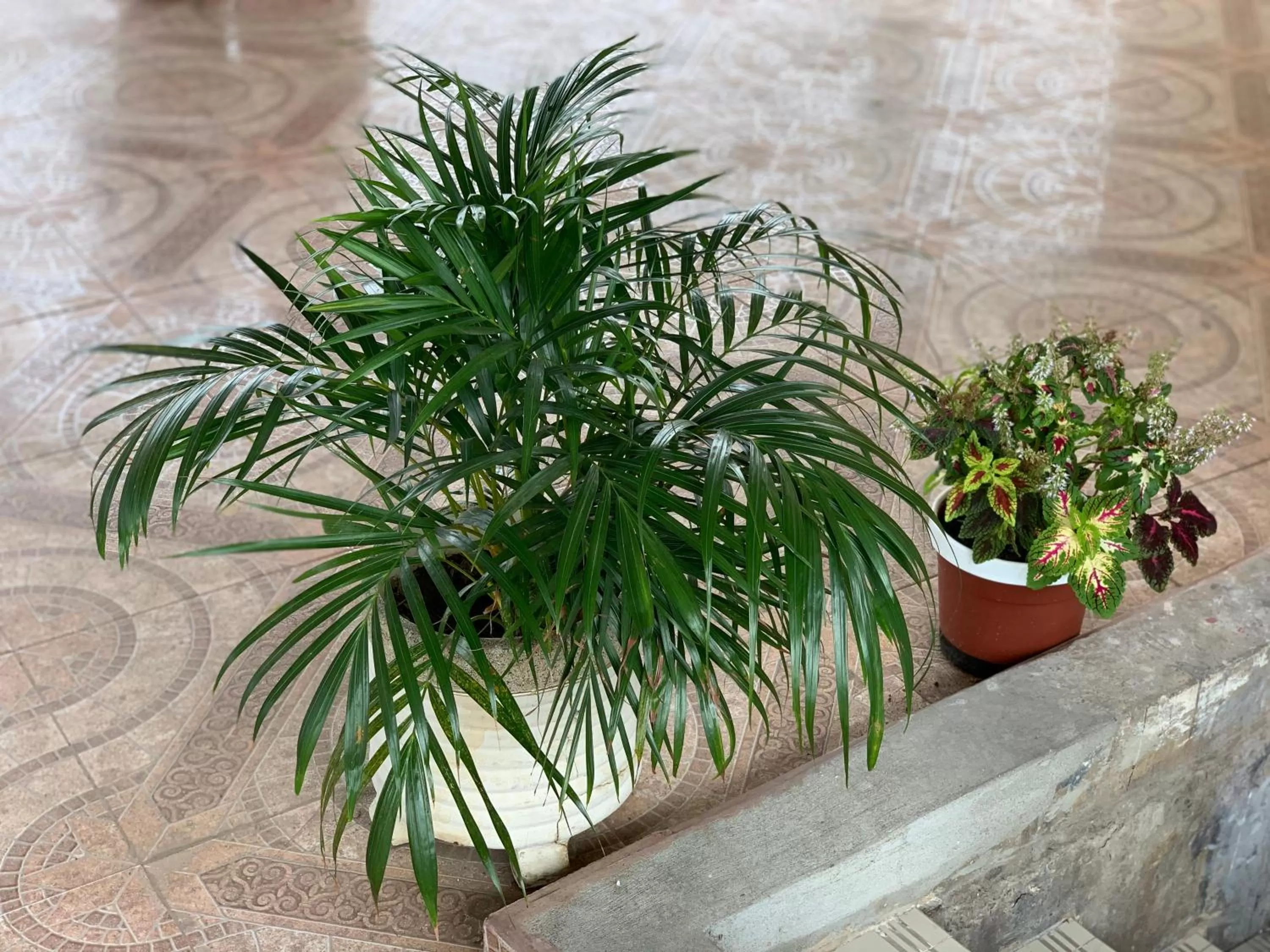 Residencial Turístico Rio Guayas