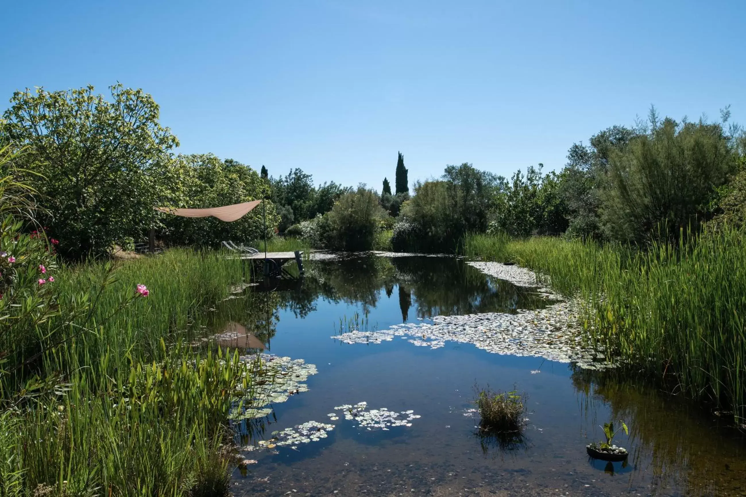 Natural landscape, Pool View in Altanure - Casa Terra Ecological Boutique Hotel