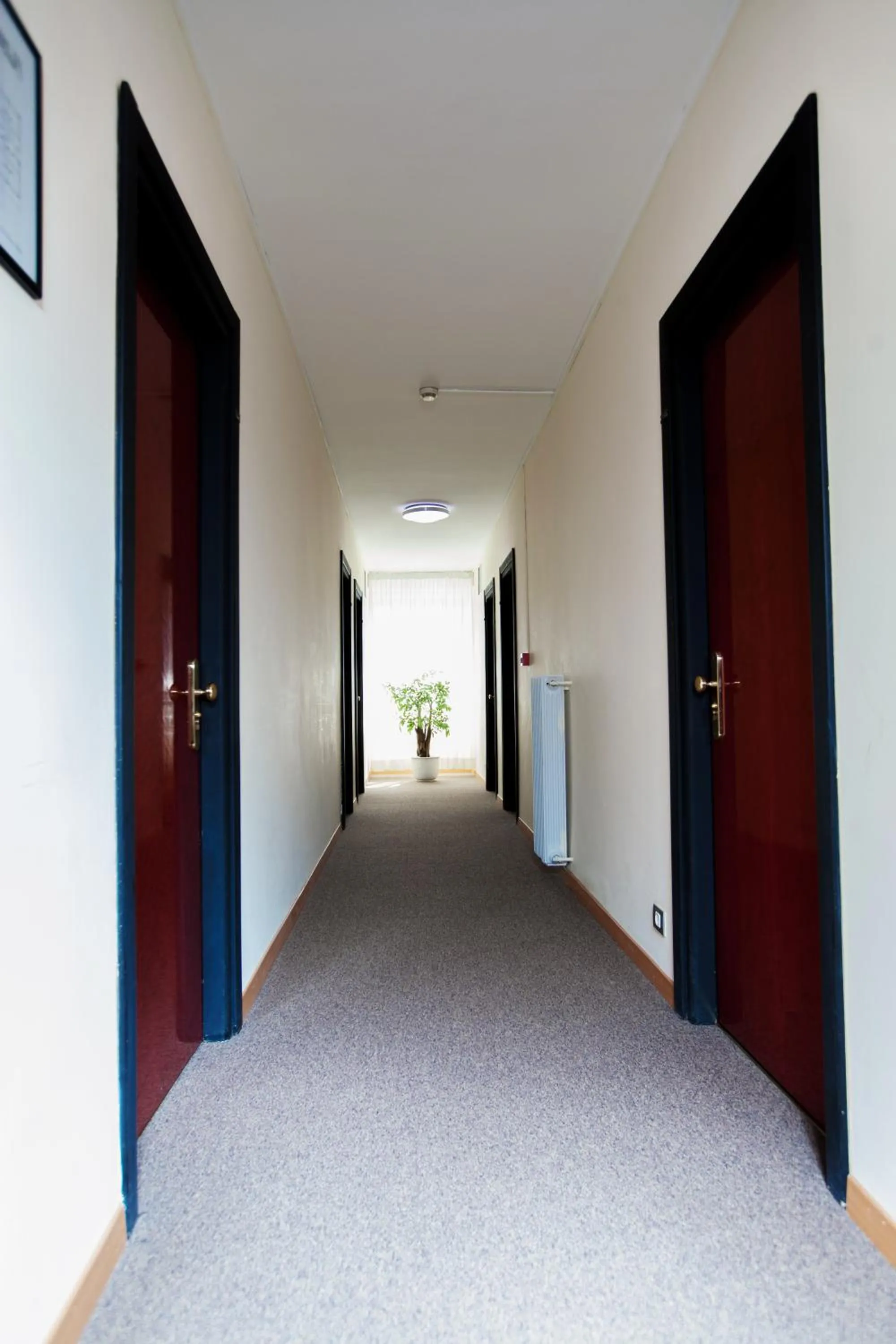 Other in Hotel Dei Fiori