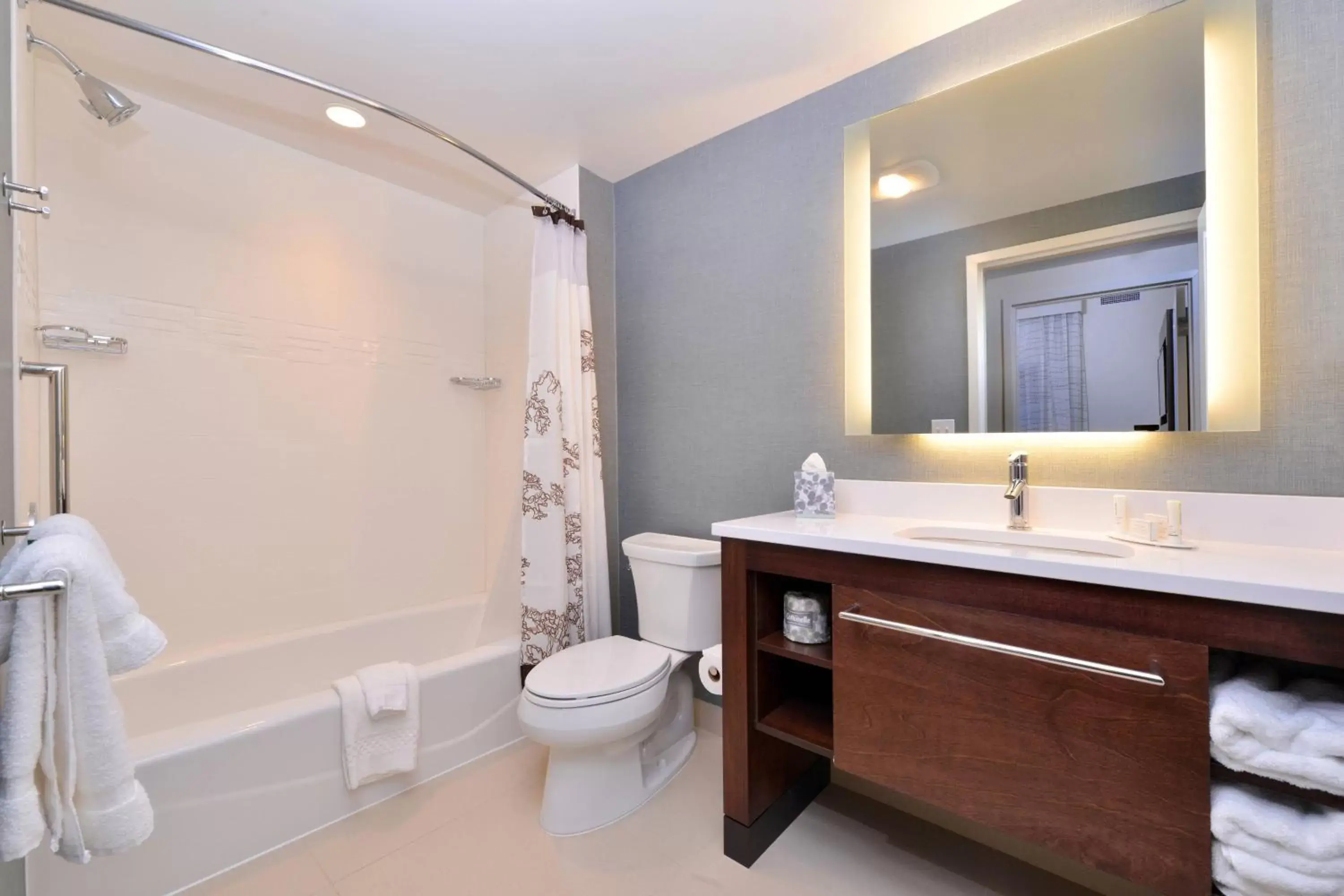 Bathroom in Residence Inn by Marriott East Lansing