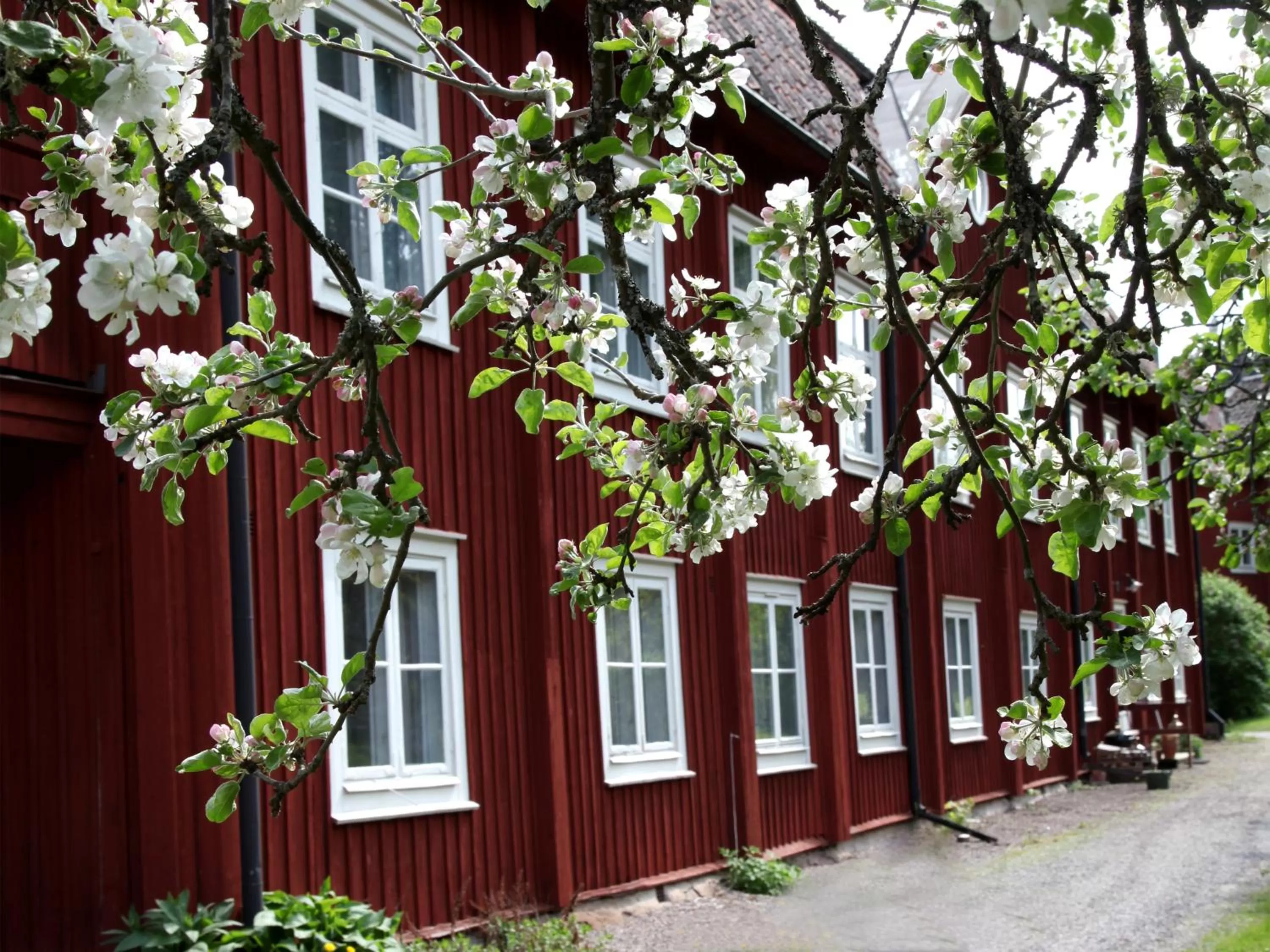 Property building in Gripsholms BnB