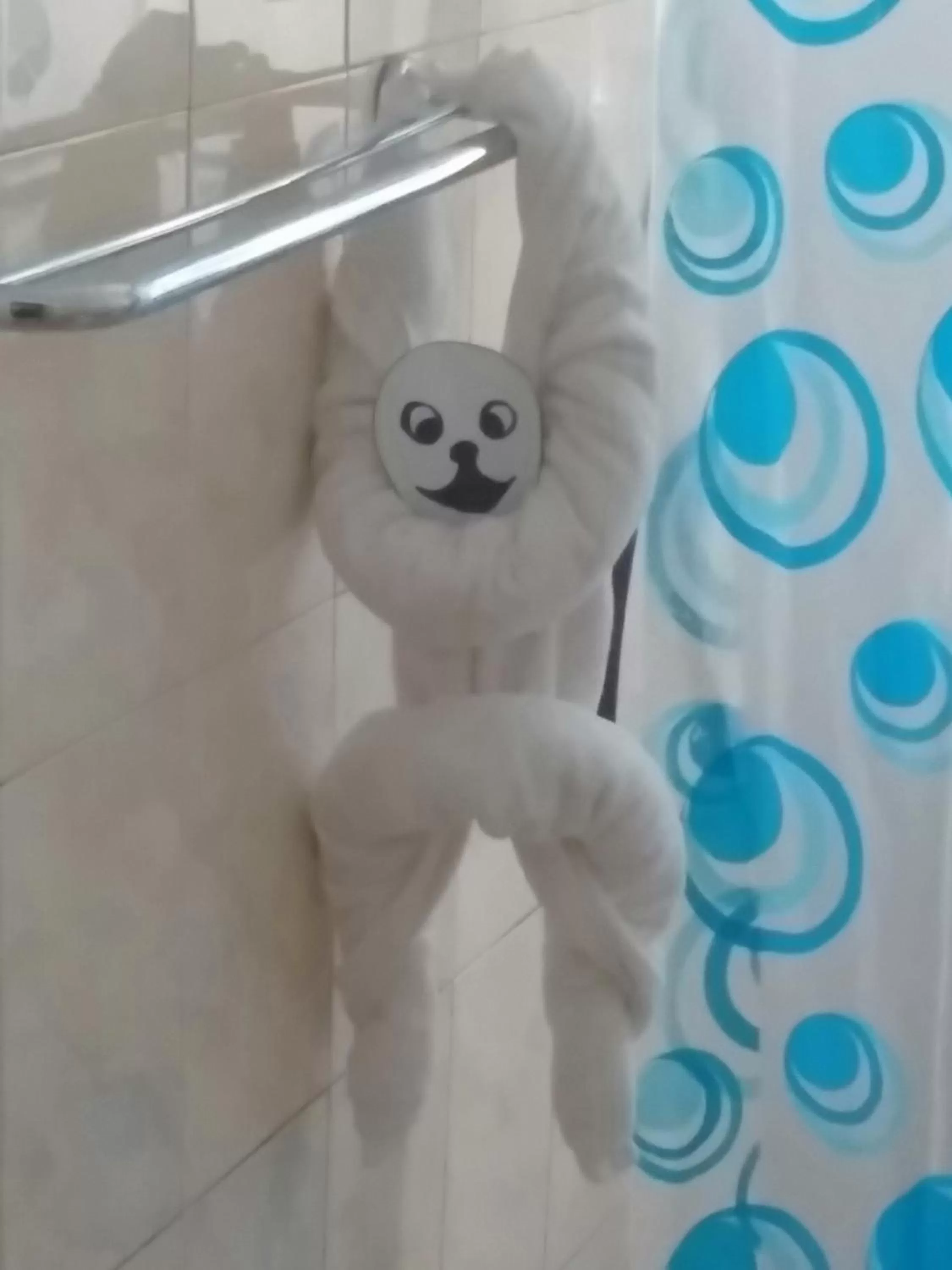 Toilet in The Trevene Hotel