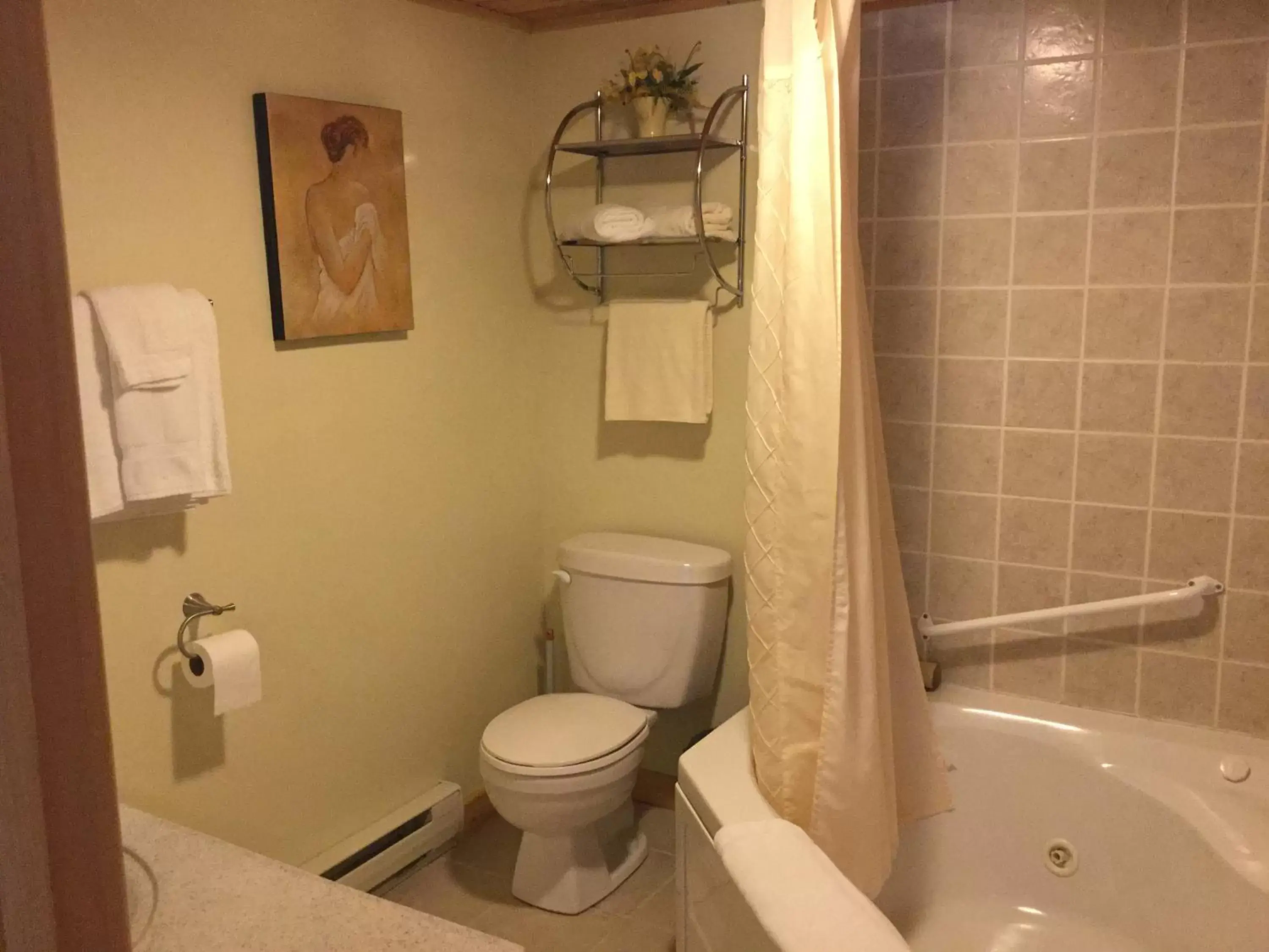 Toilet, Bathroom in Mackenzie Motel & Cottages