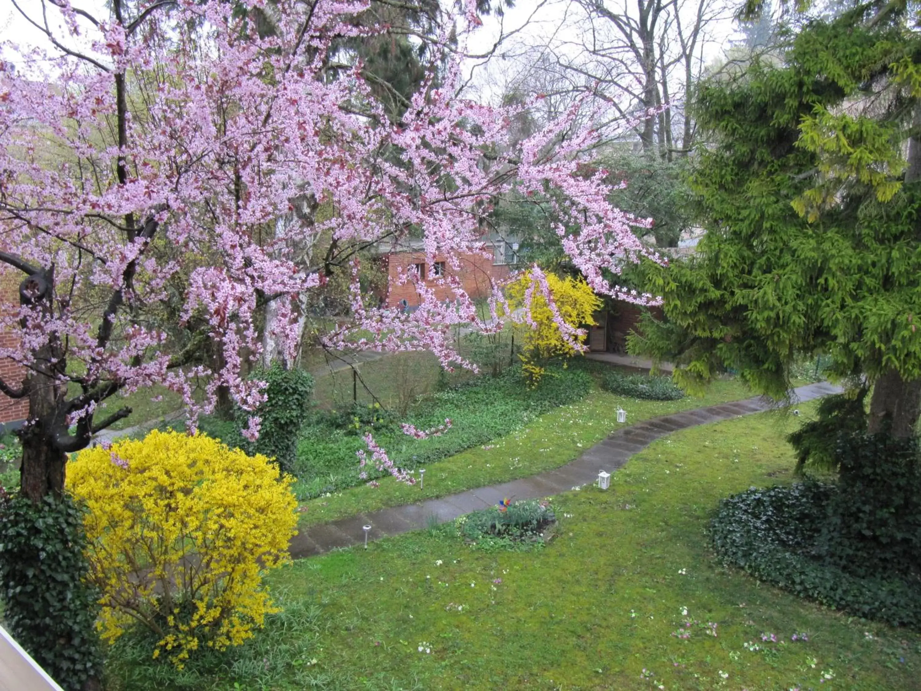 Garden in Chez Jean et Daisy