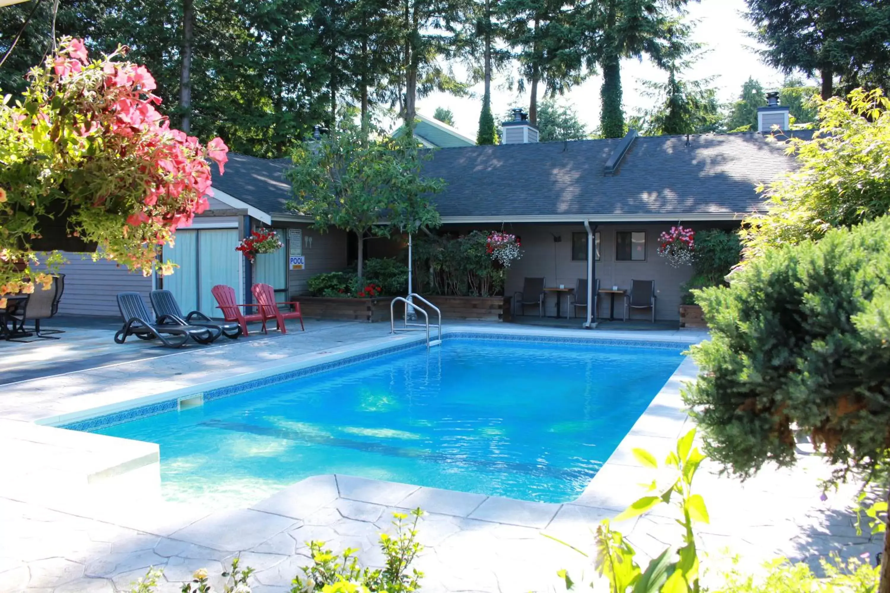 Day, Swimming Pool in Sunshine Lodge Inn