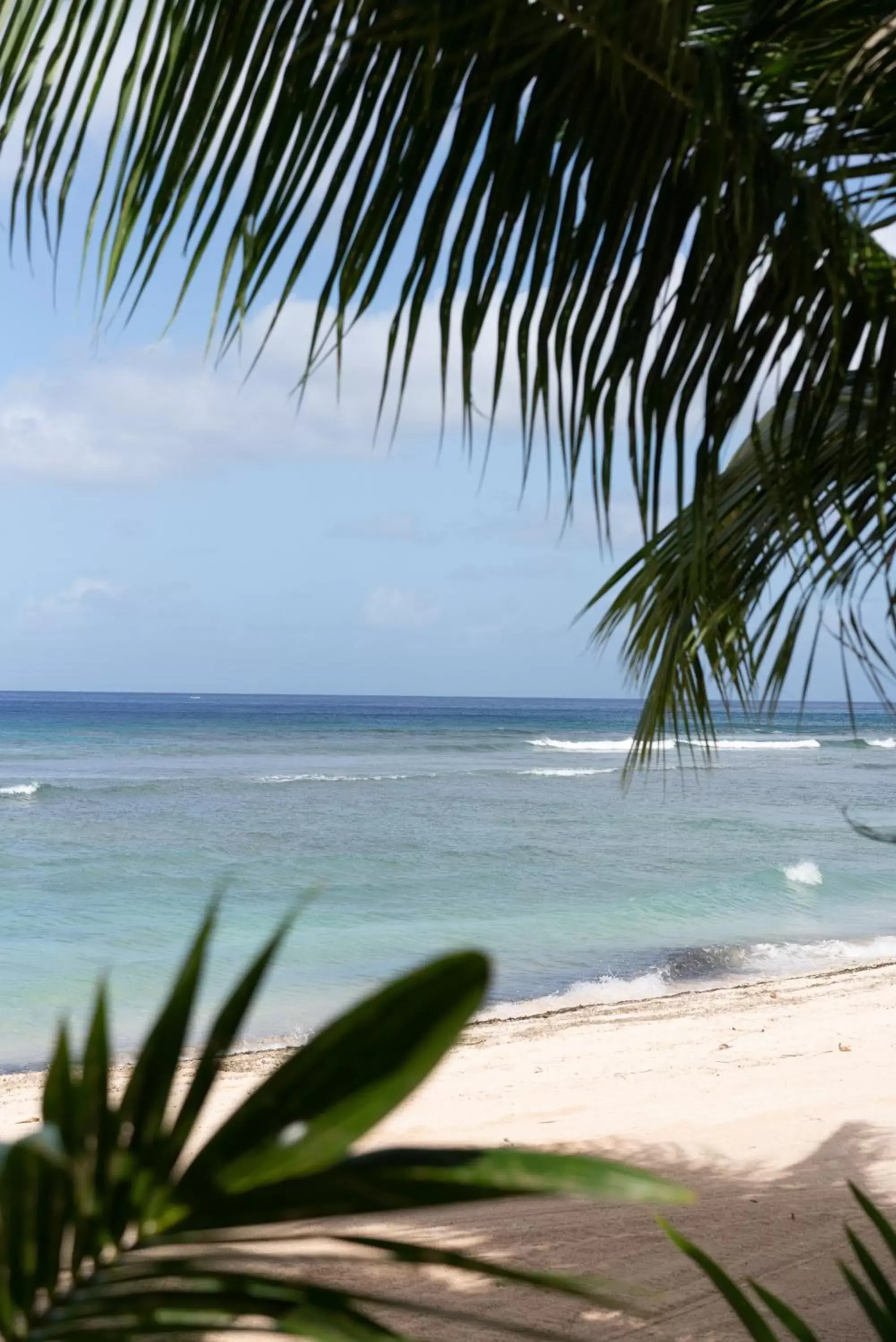 Natural landscape, Beach in Hotel Nikko Guam