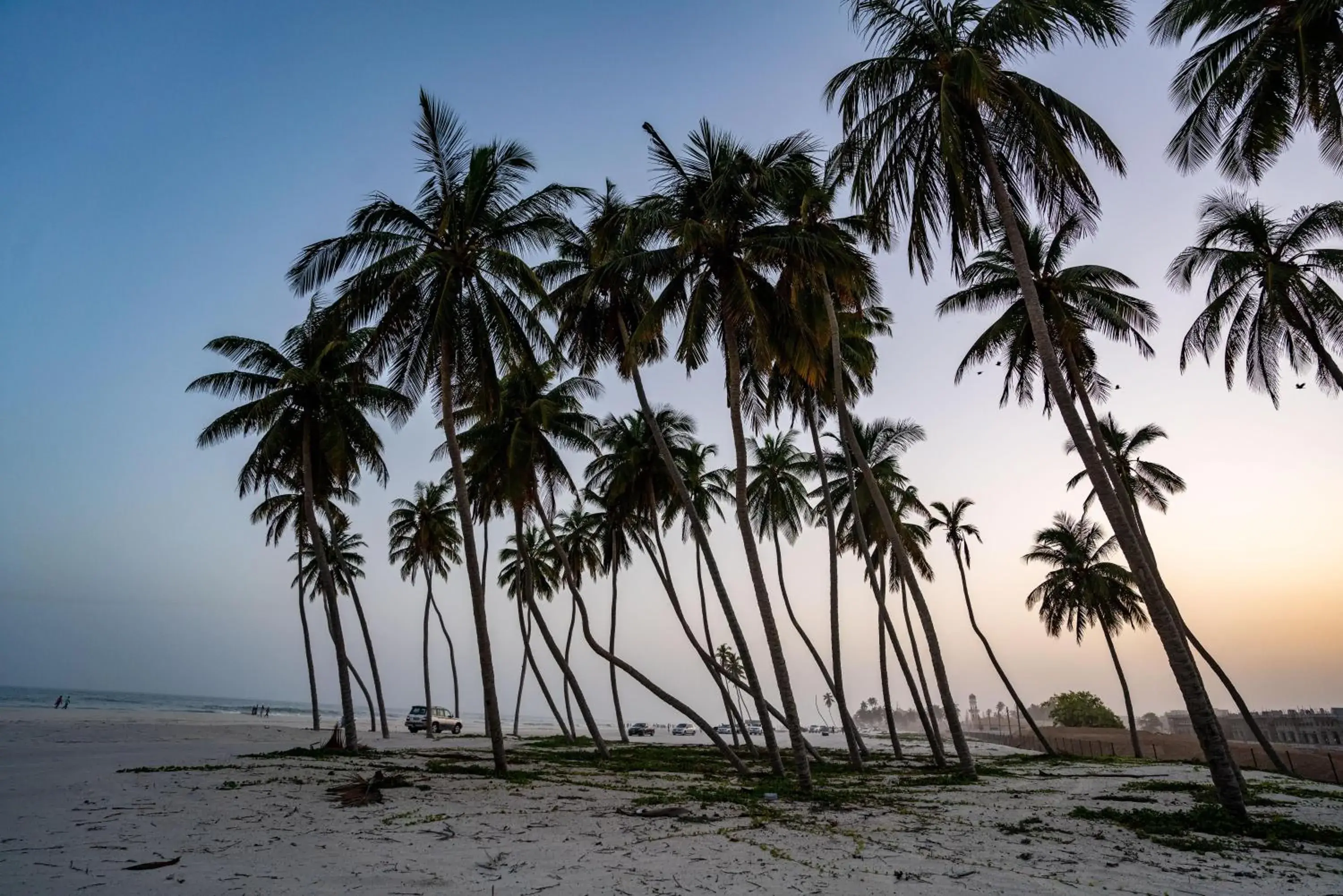 Natural landscape, Beach in Fanar Hotel & Residences