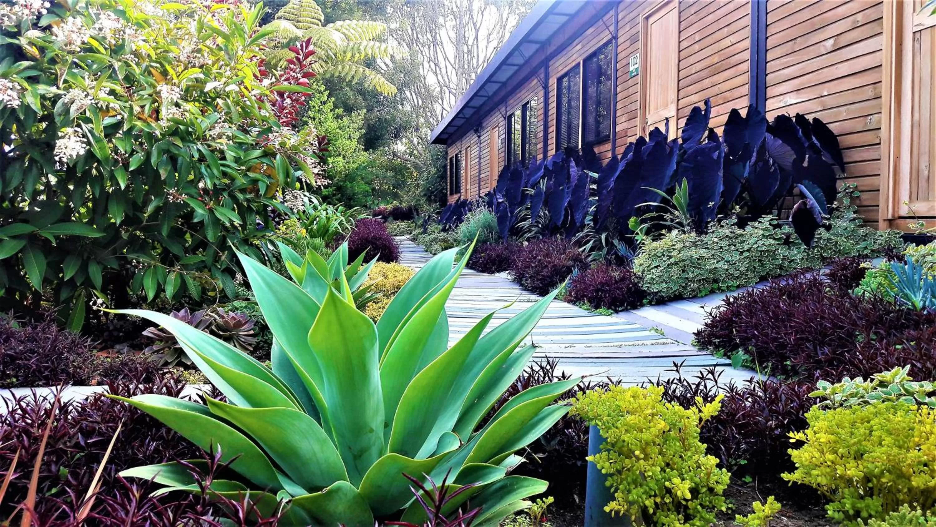 Garden in ALTO LODGING Centro de Entrenamiento Deportivo y Negocios, a 2 pasos del Aeropuerto JMC, Transporte Incluido
