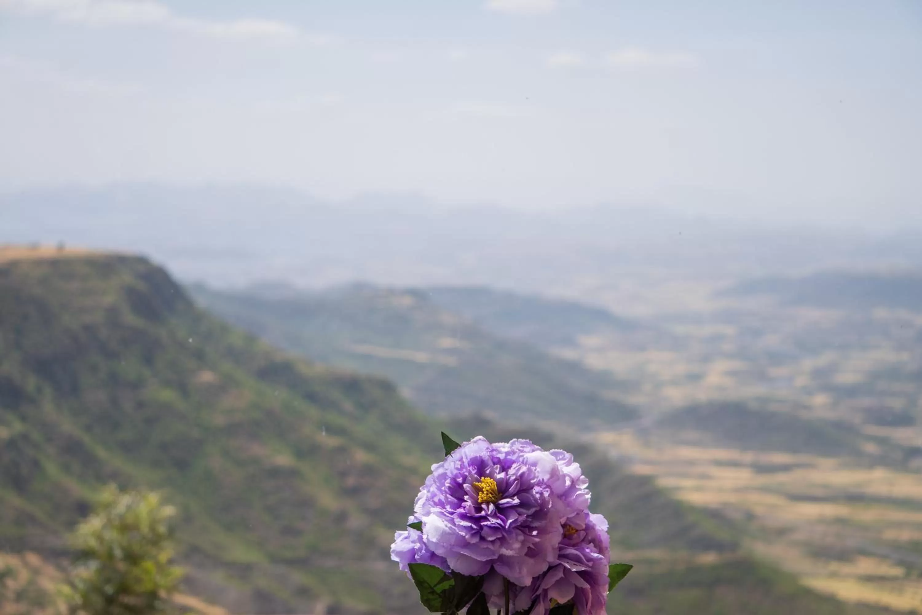 Landmark view in Panoramic View Hotel
