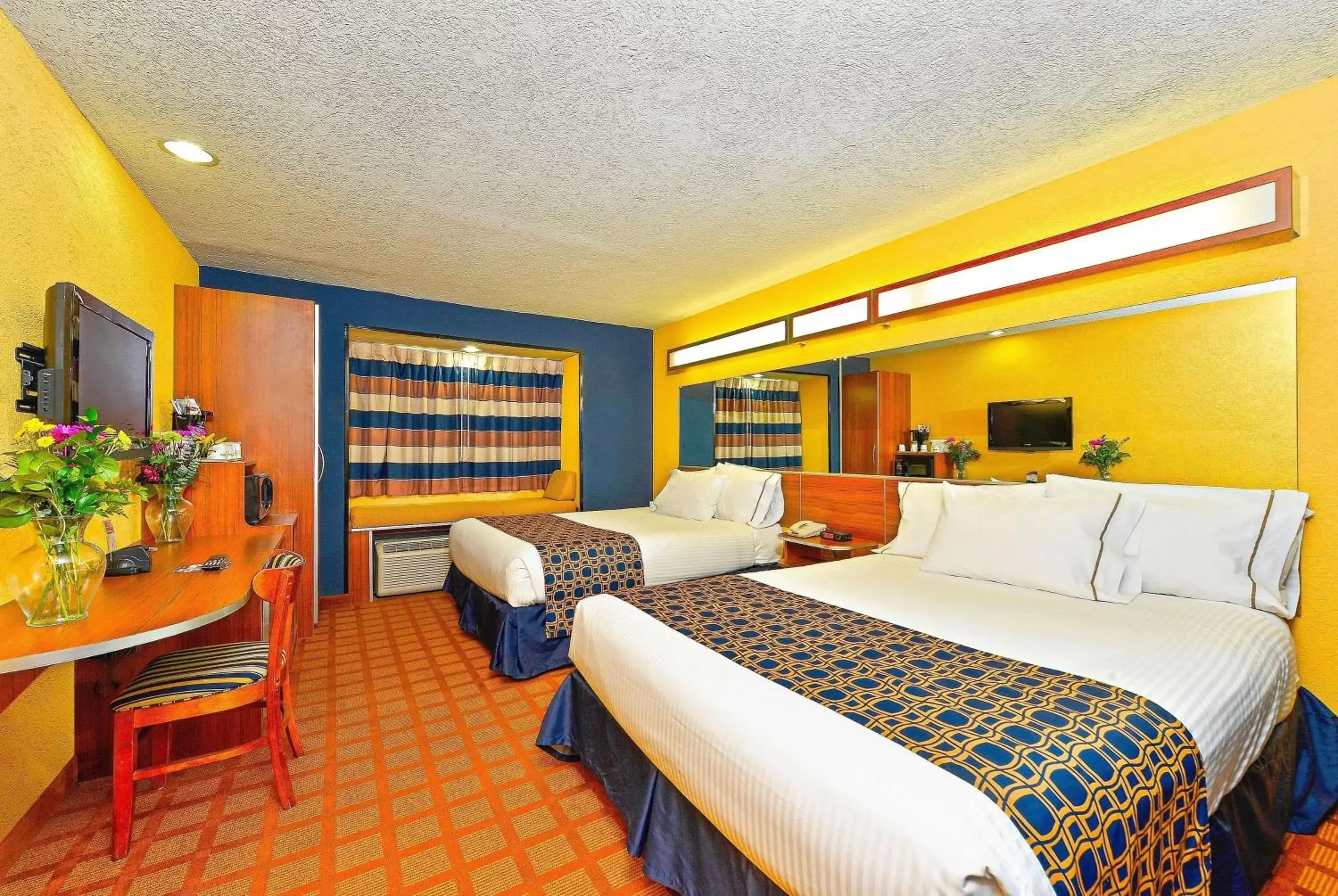 Photo of the whole room in Microtel Inn & Suites by Wyndham New Braunfels I-35
