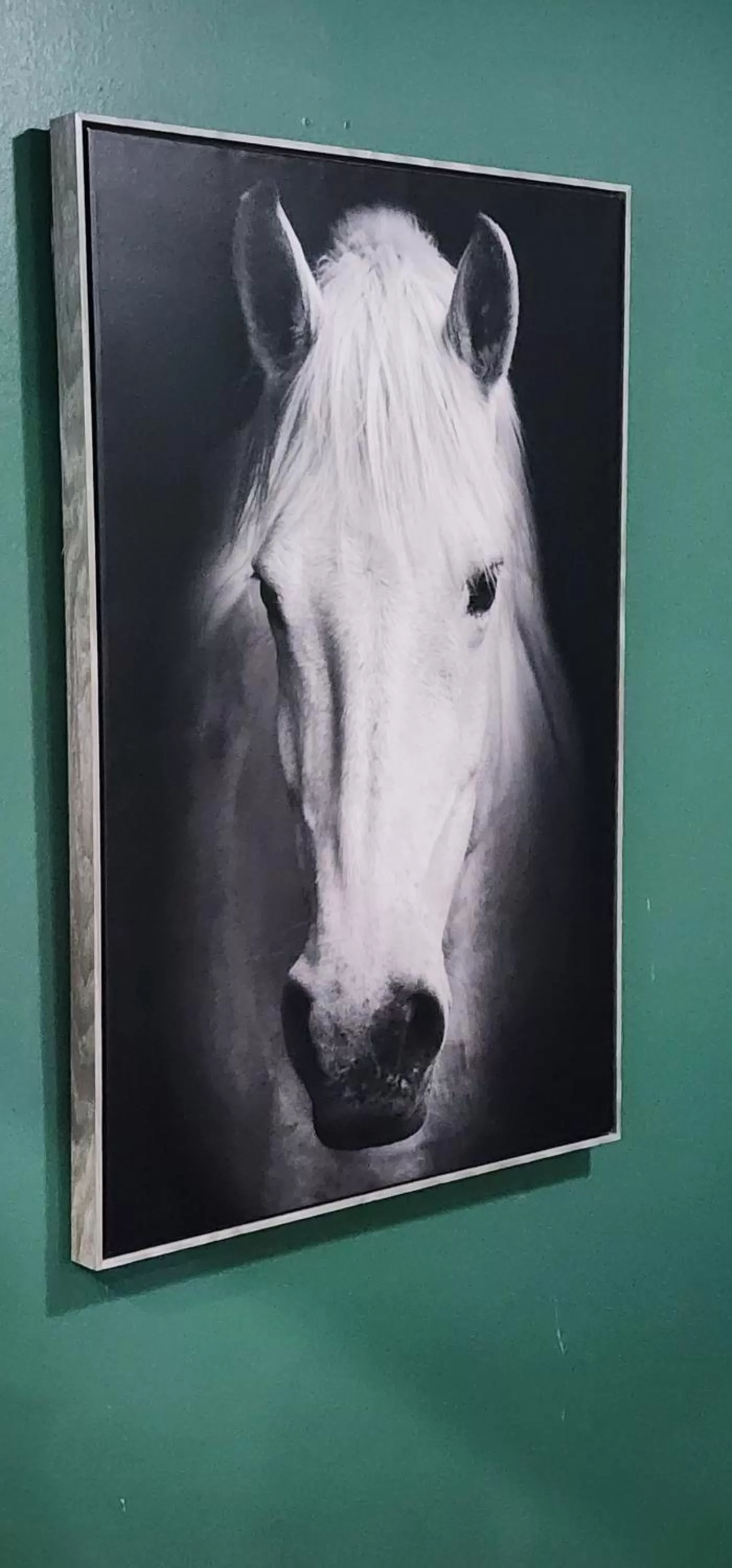 Animals in Quality Inn Dry Ridge