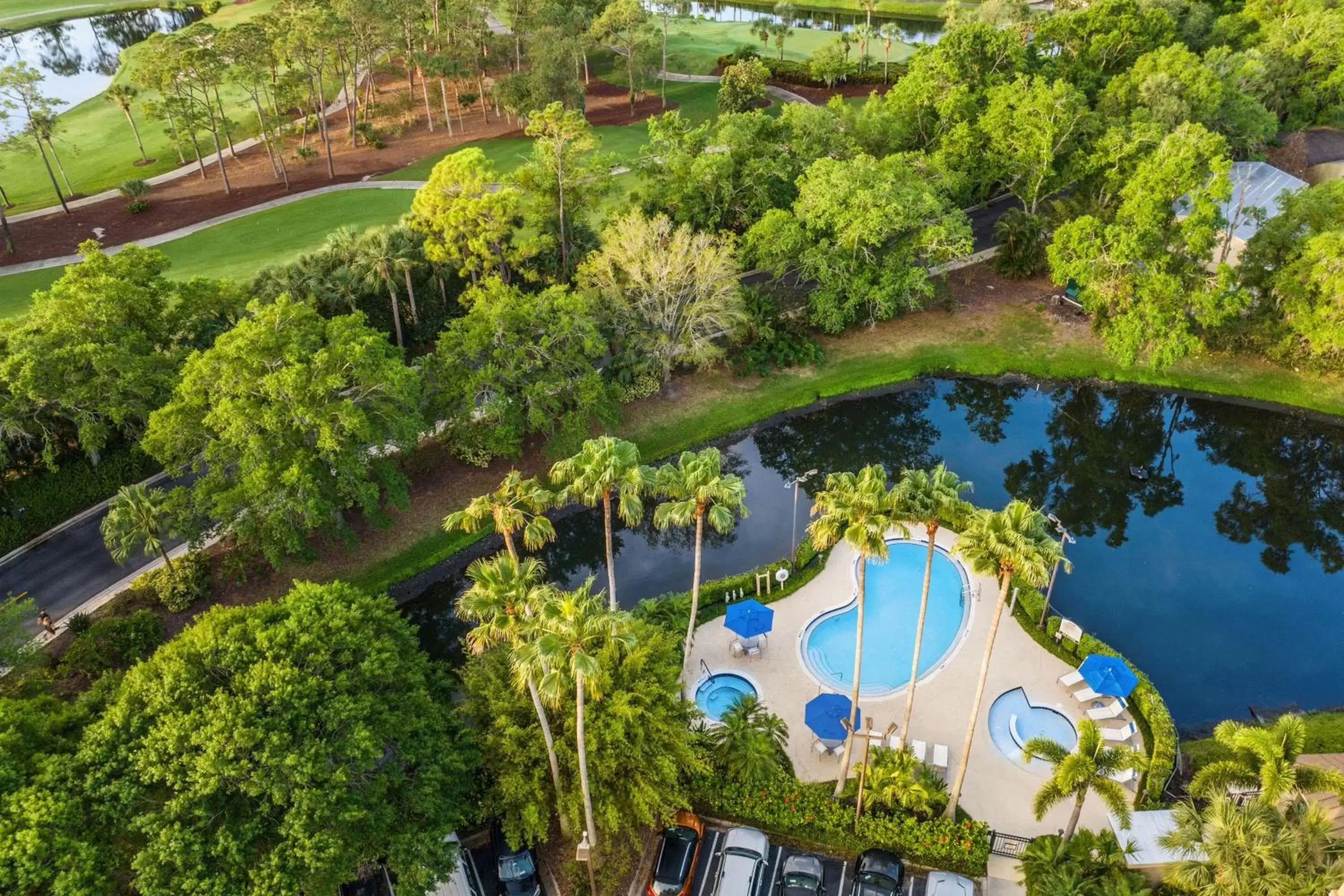 Swimming pool, Bird's-eye View in Marriott's Imperial Palms Villas