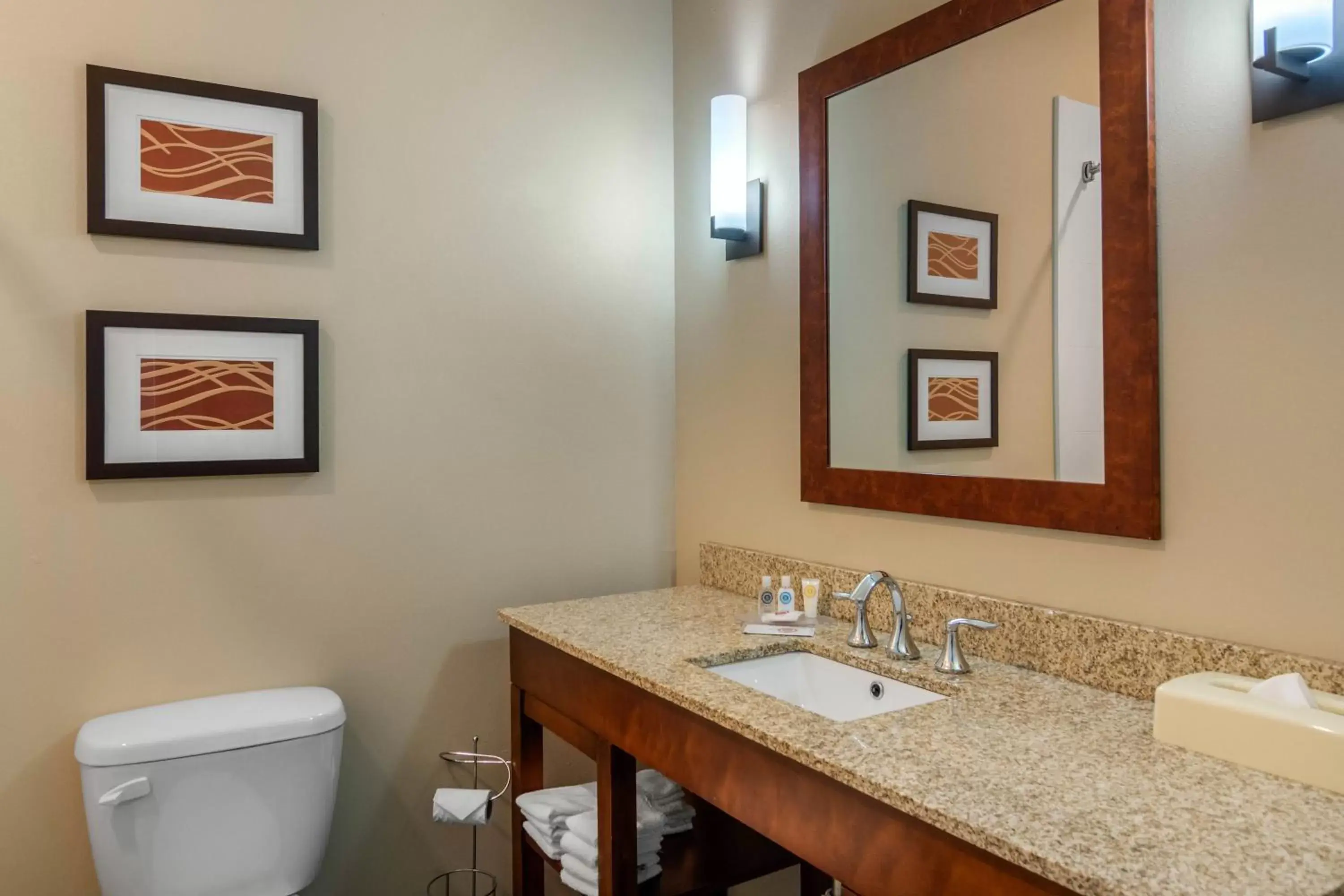 Bathroom in Comfort Inn South Chesterfield - Colonial Heights