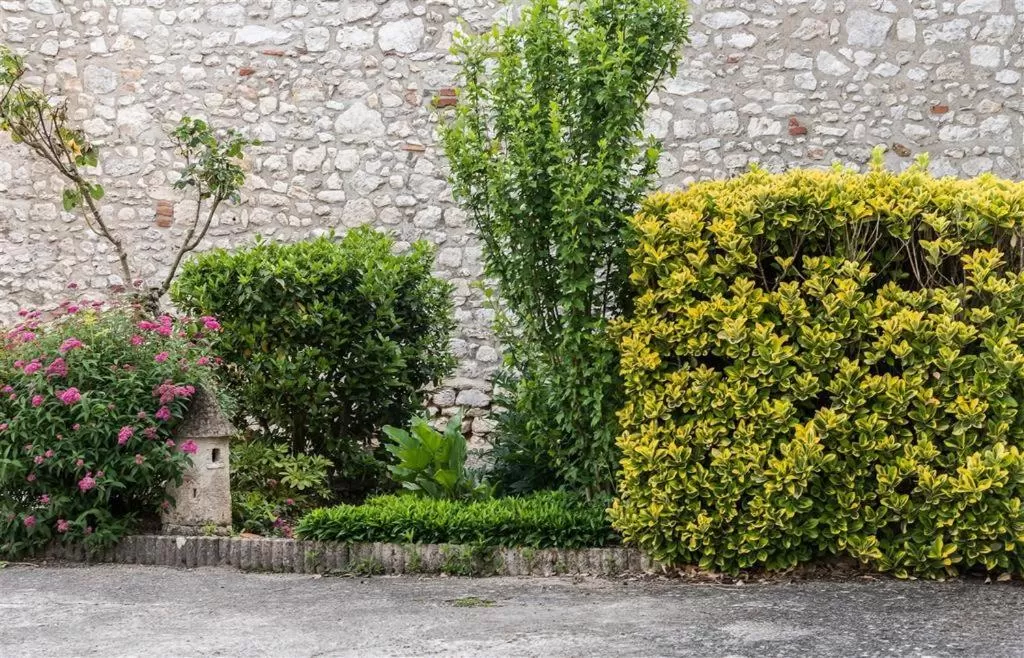 Garden in HOTEL DU CYGNE DE LA CROIX BLANCHE