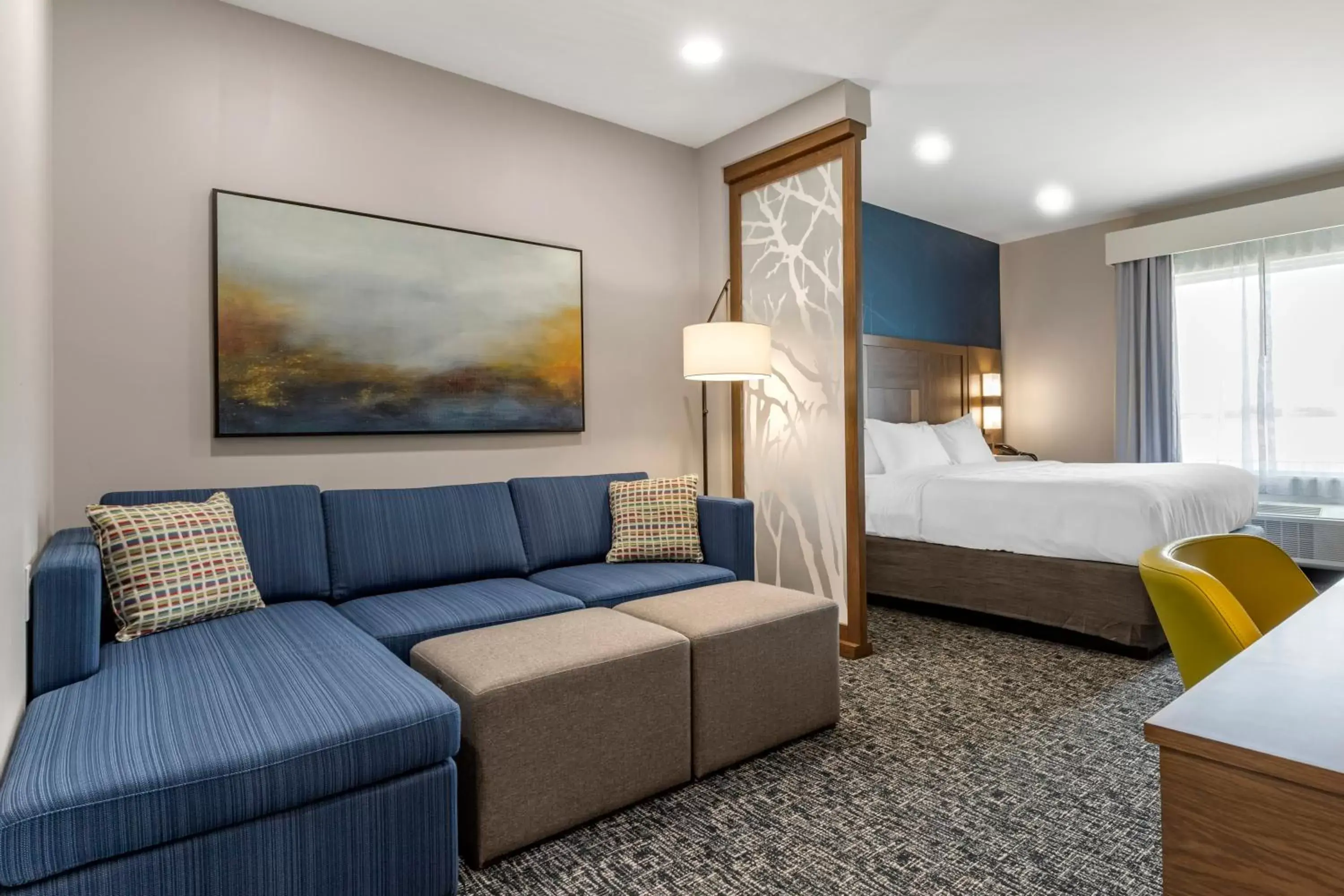 Executive King Suite - Accessible/Non-Smoking in Comfort Suites Greenville Airport