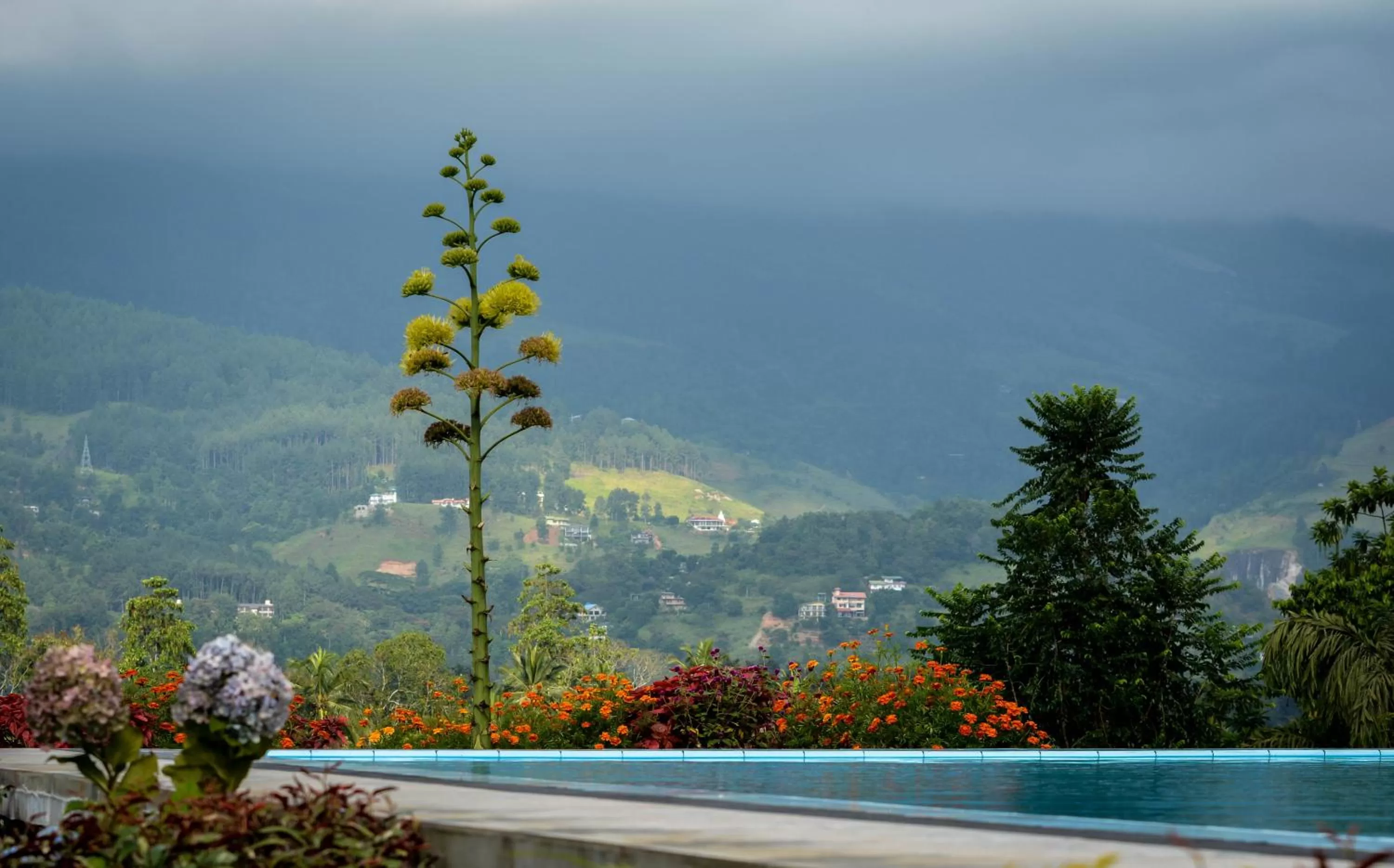 Mountain view in Elegant Hotel