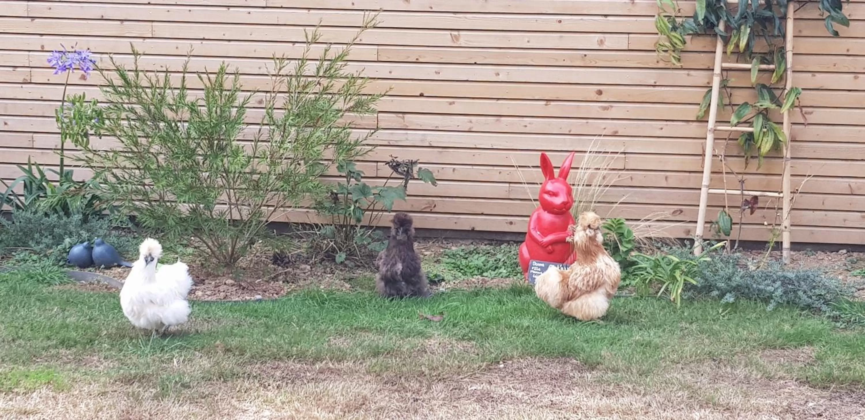 Animals, Other Animals in Au plaisir d’accueillir