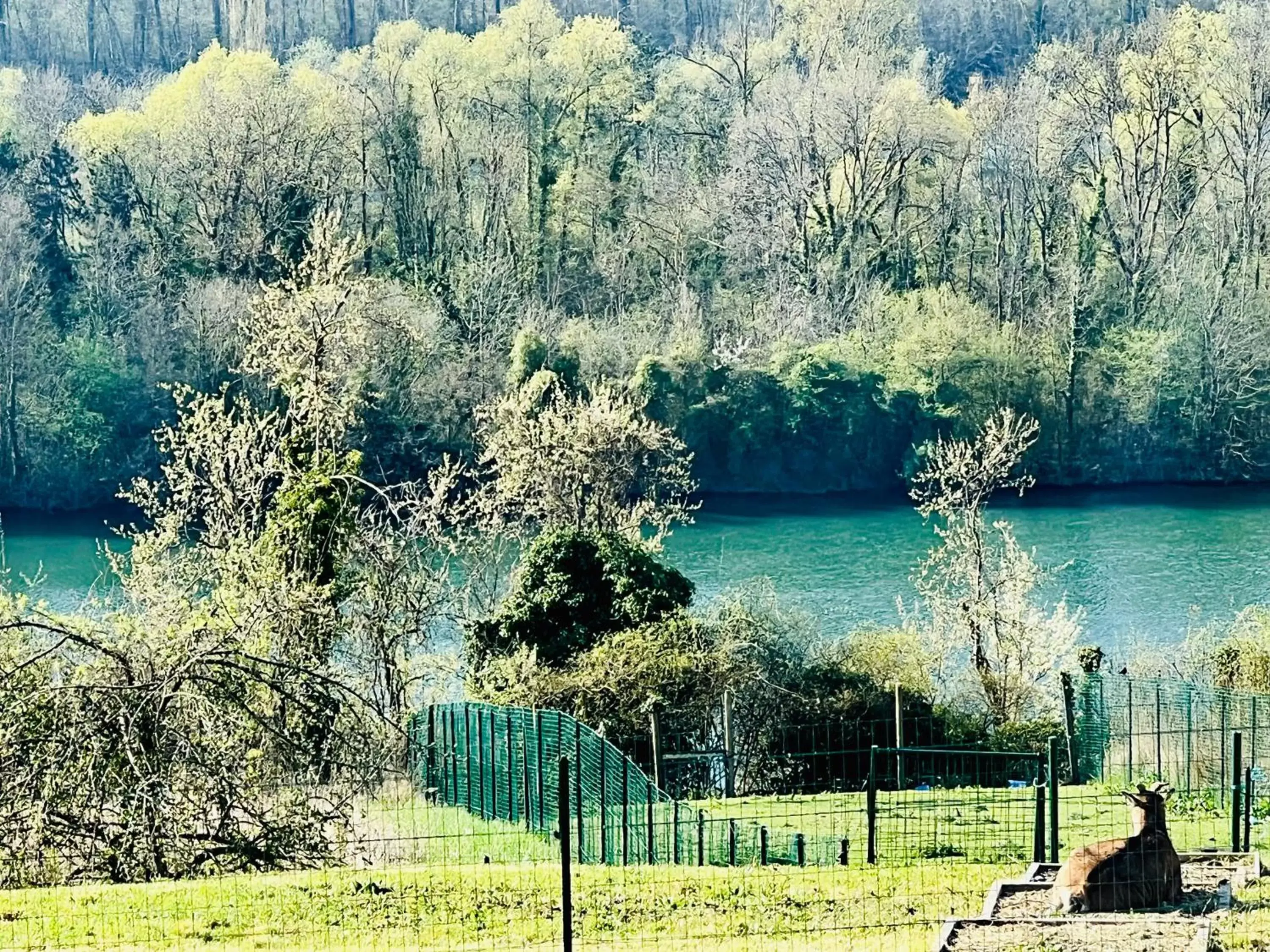 Garden view in résidence belle vue