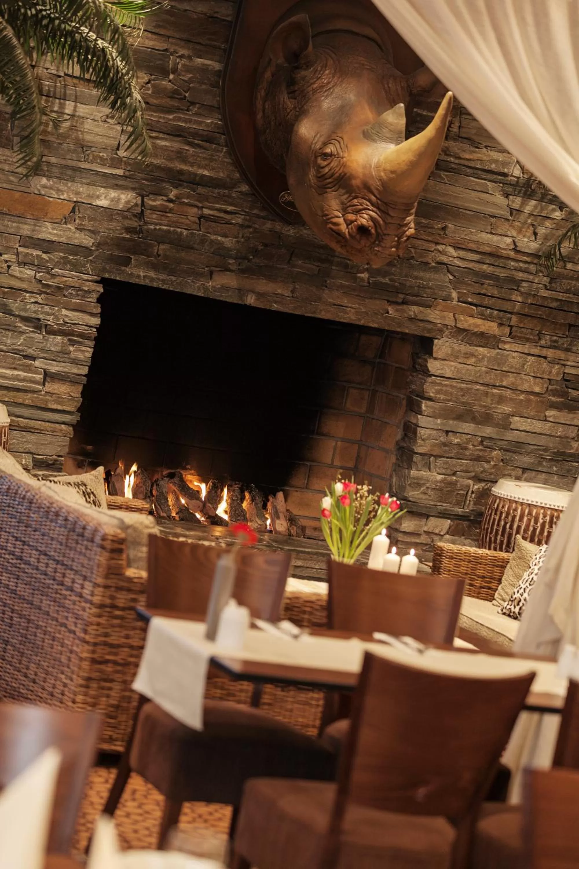 Restaurant/places to eat in Dyreparken Safarihotell