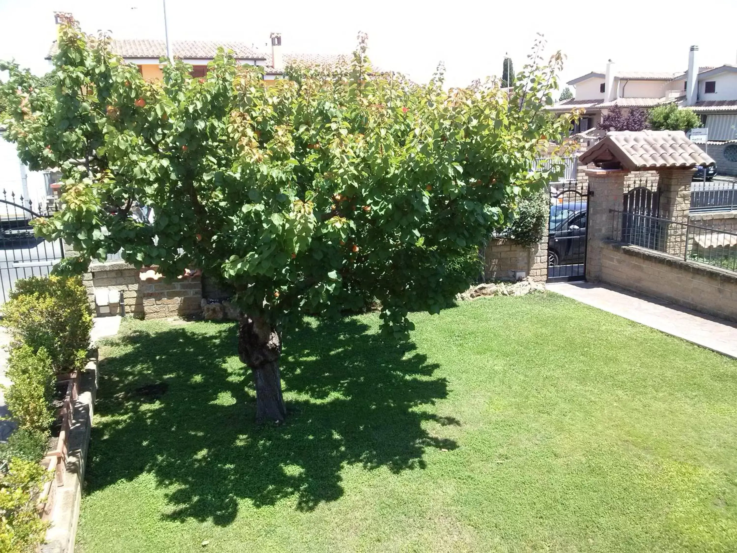 Garden in L'Albicocco