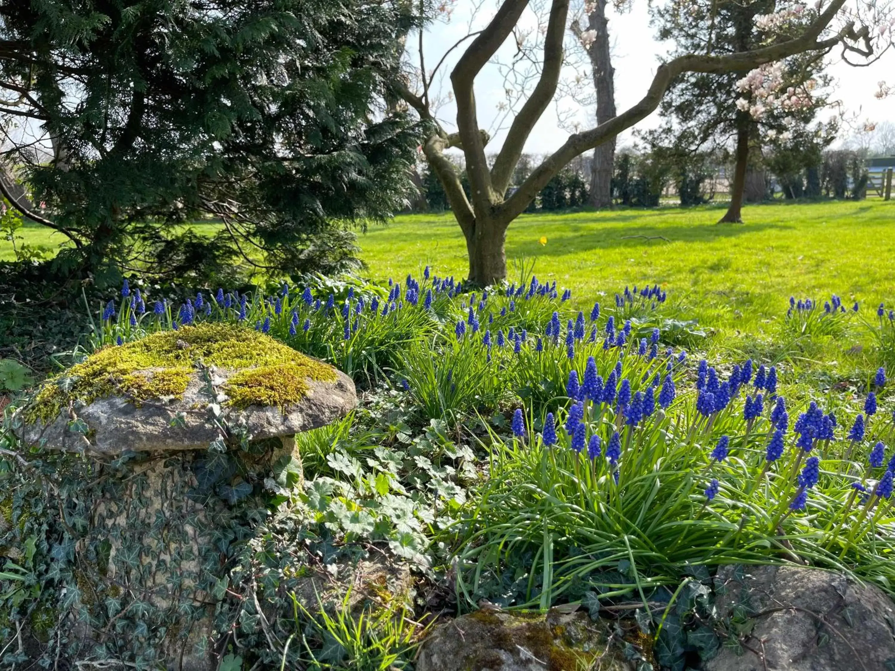 Garden in Hill Farm