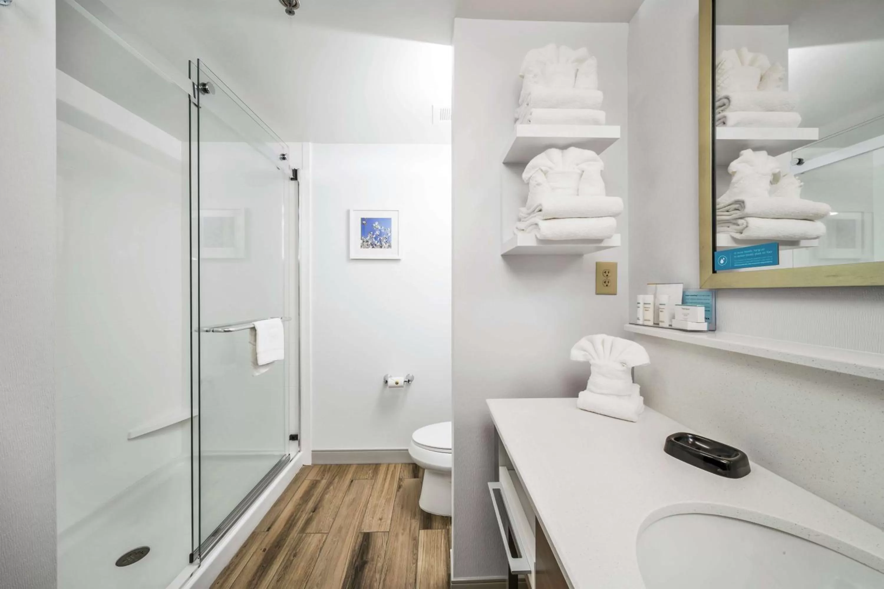 Bathroom in Hampton Inn Wilson Downtown