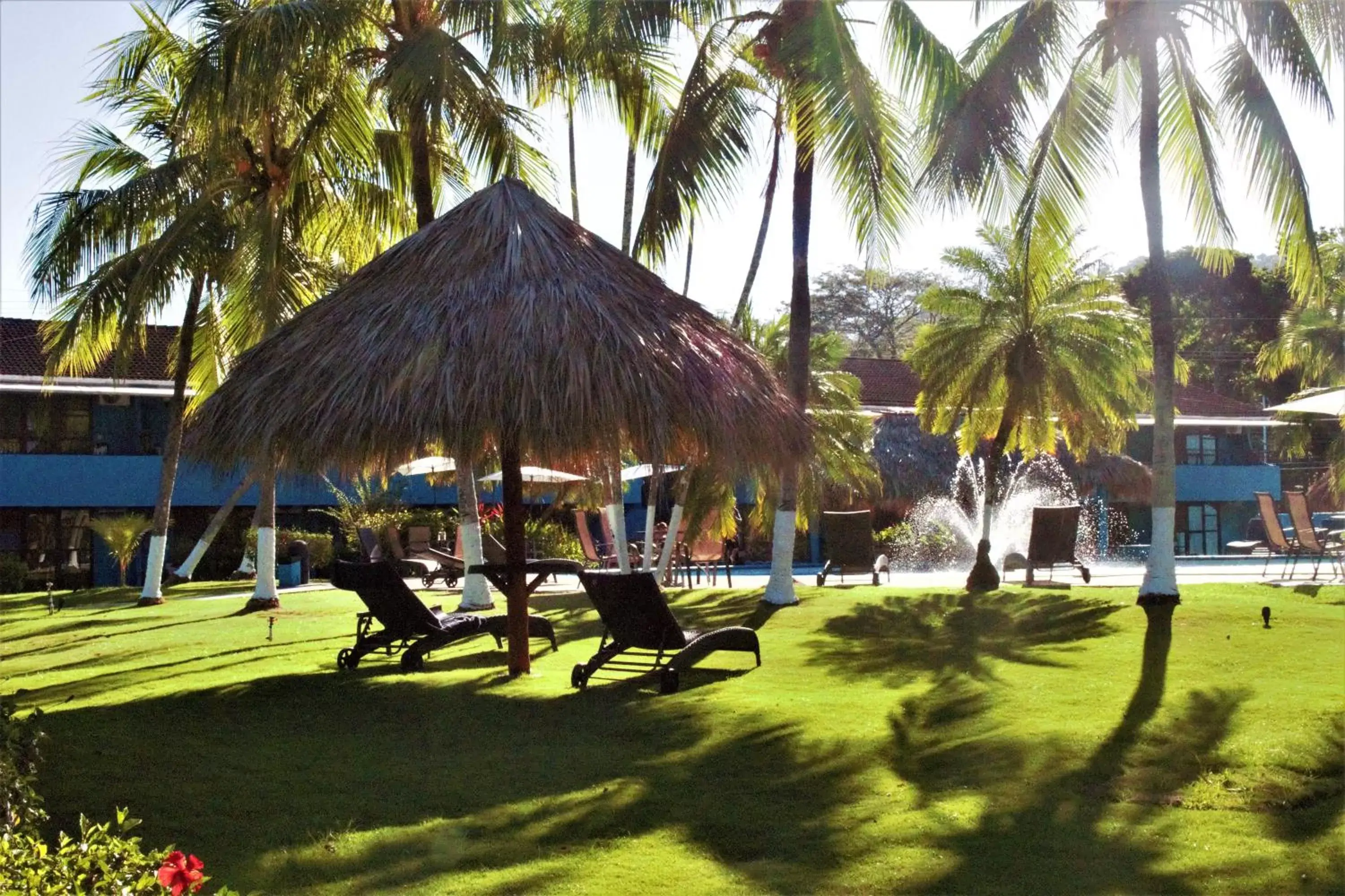 Garden, Swimming Pool in Costa Rica Surf Camp by SUPERbrand