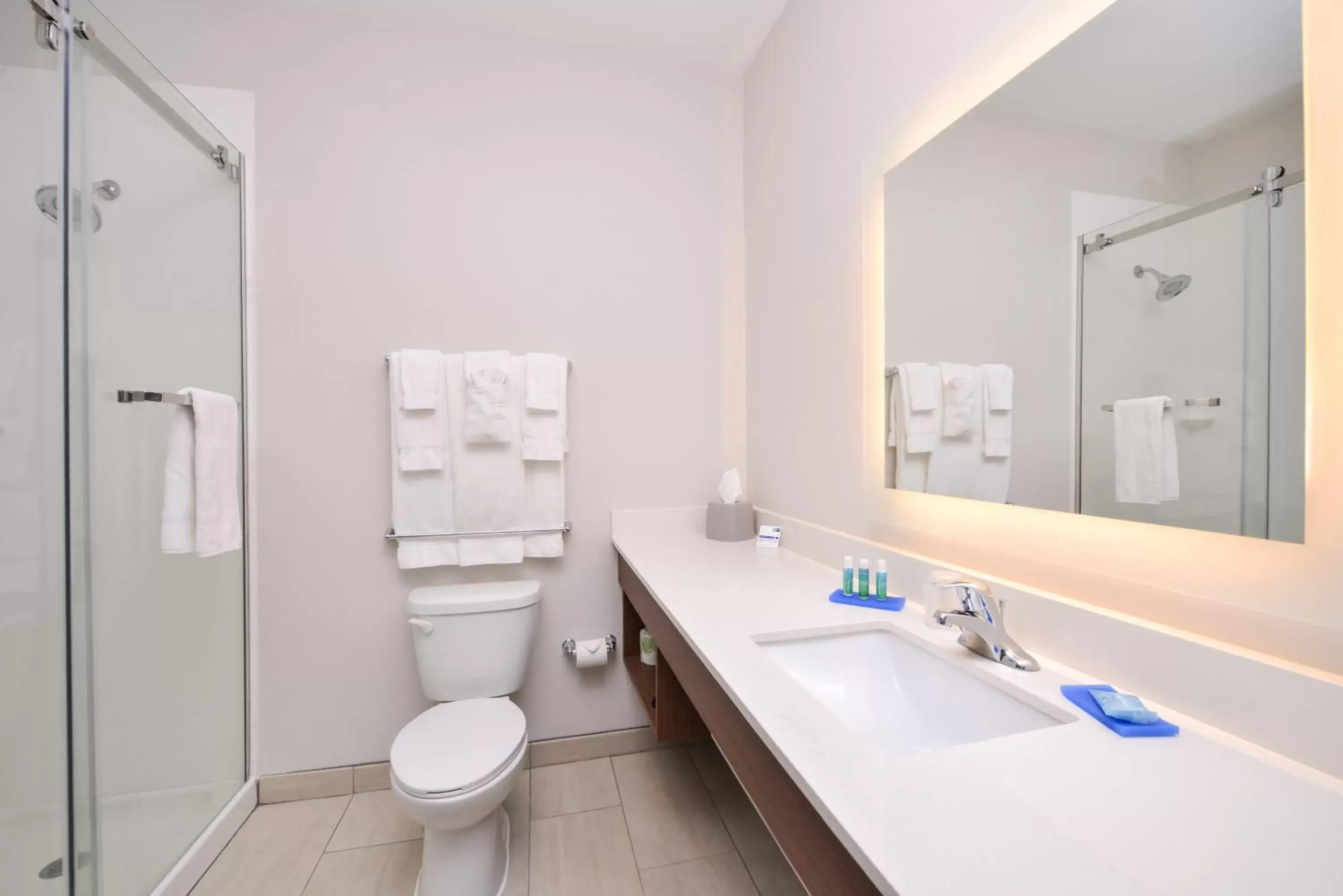 Bathroom in Holiday Inn Express Donaldsonville by IHG Bathroom in Holiday Inn Express Donaldsonville by IHG