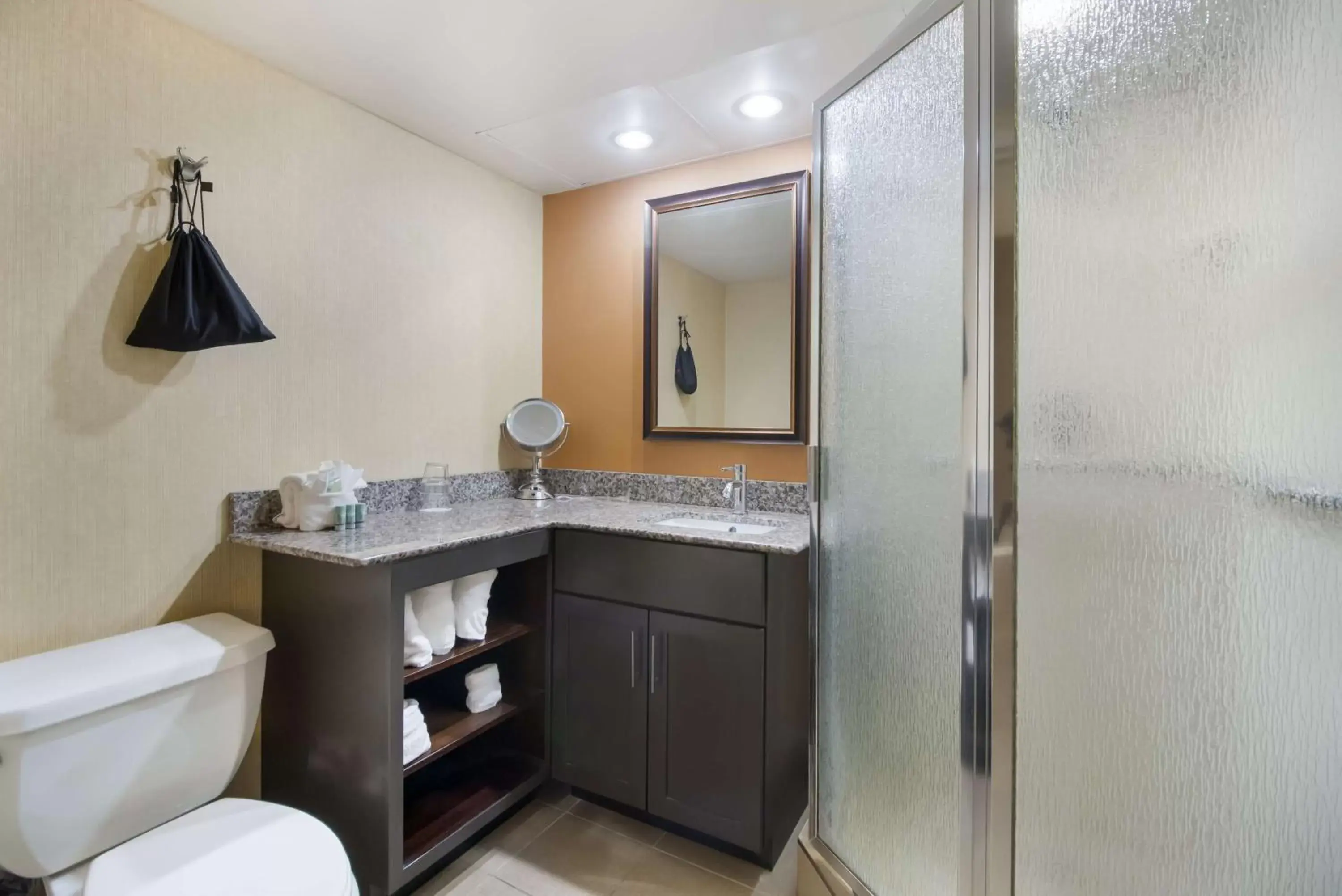 Bedroom, Bathroom in Best Western Suites near Opryland