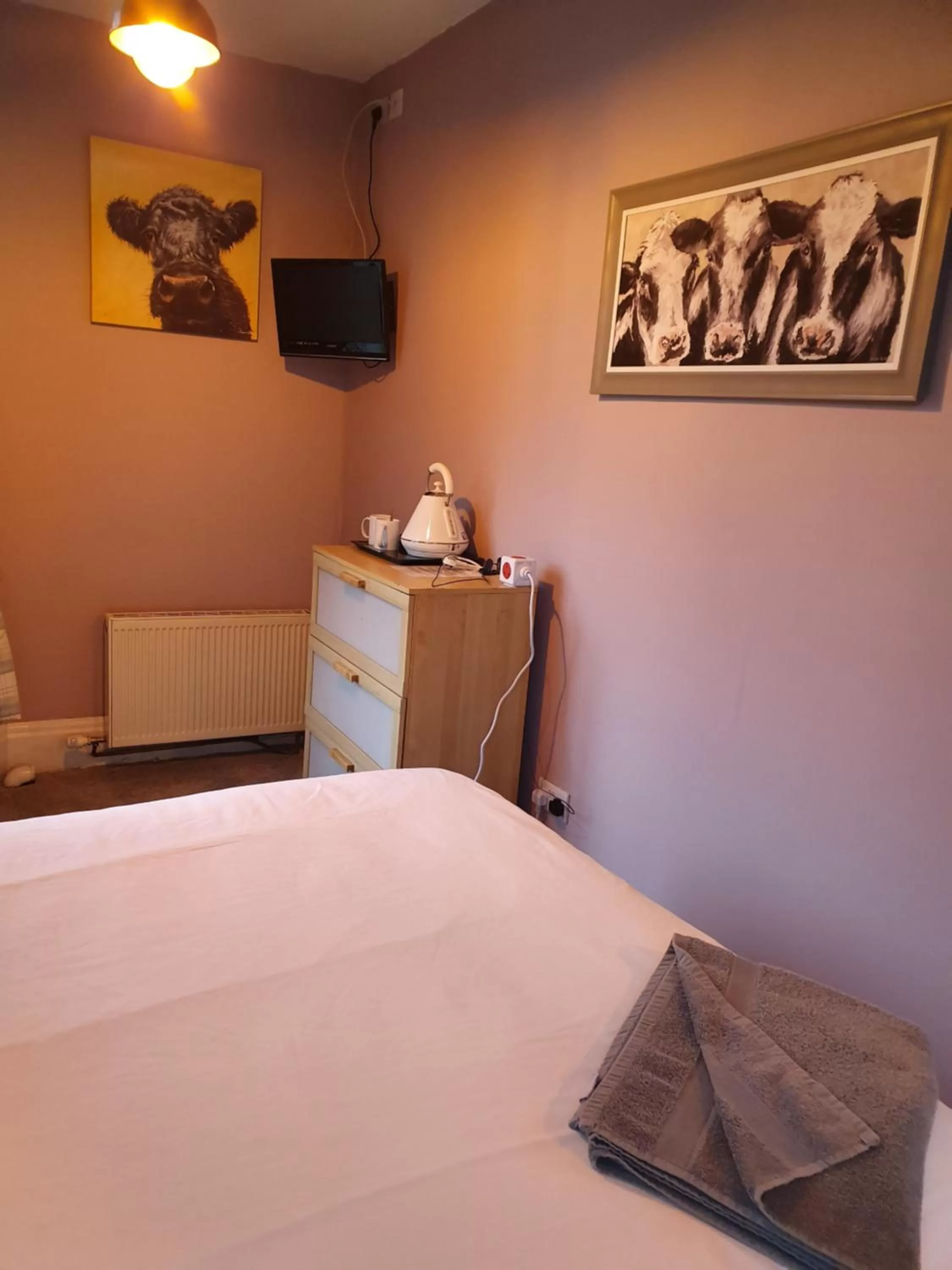 Bed in Mad O'Rourkes Pie Factory