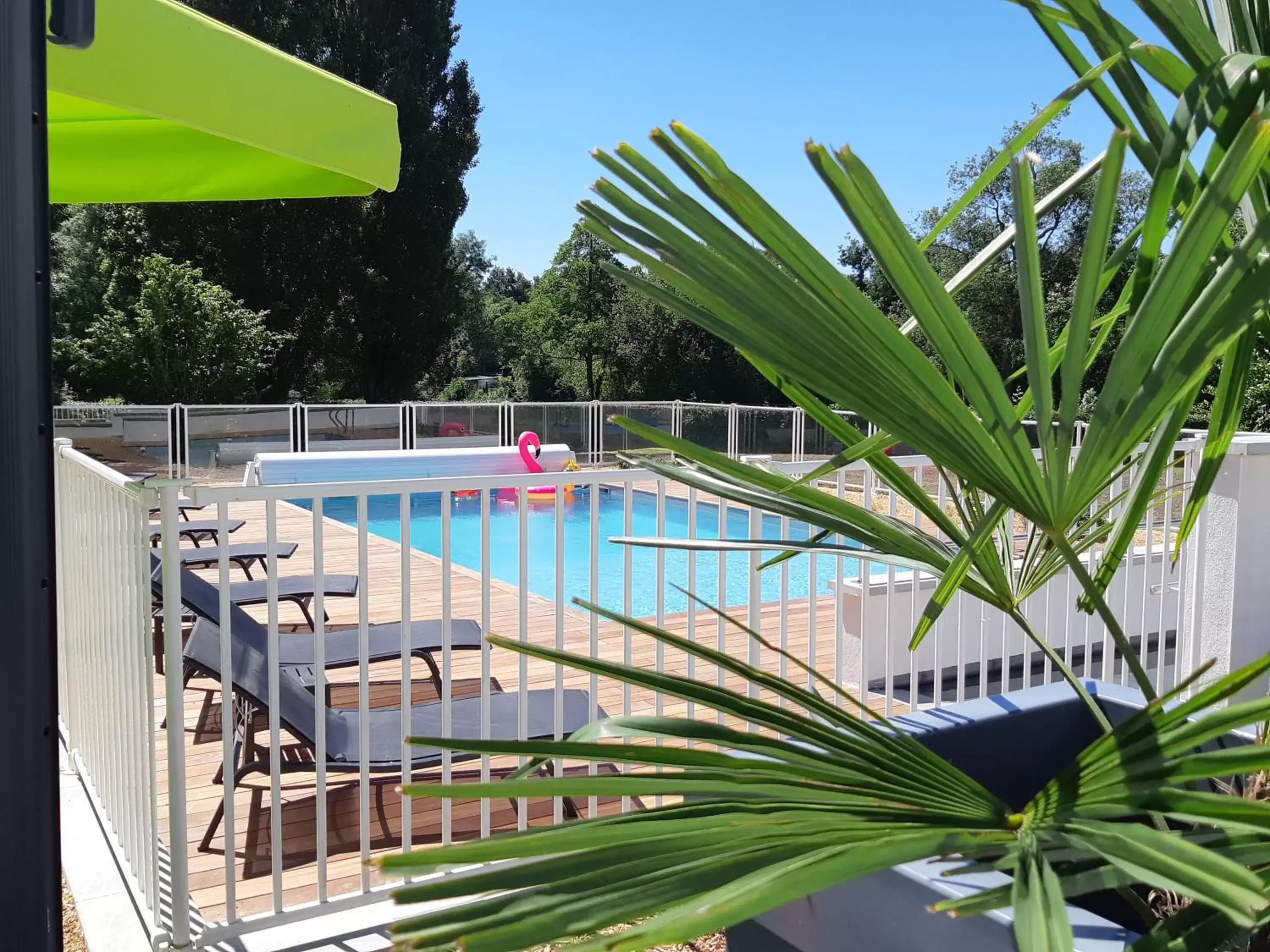 Pool view, Swimming Pool in Novotel Le Mans