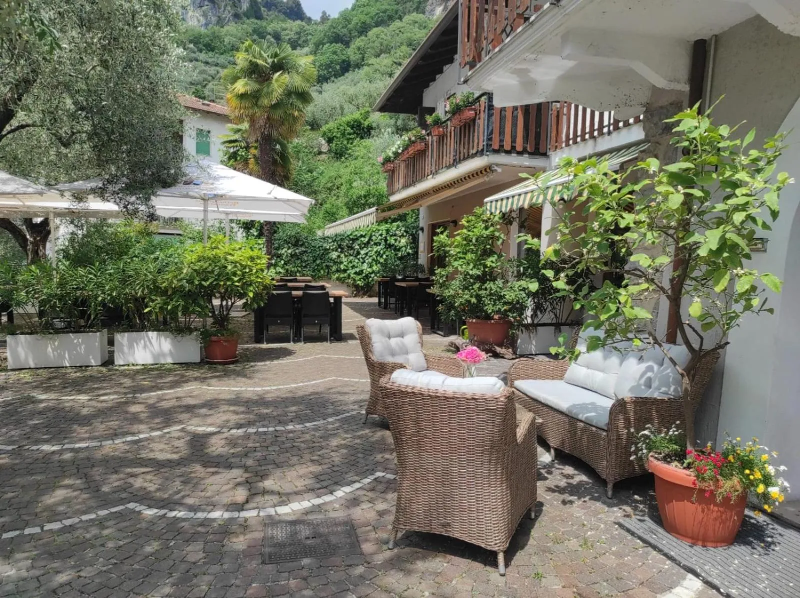 Restaurant/places to eat in Albergo Stella D'Italia