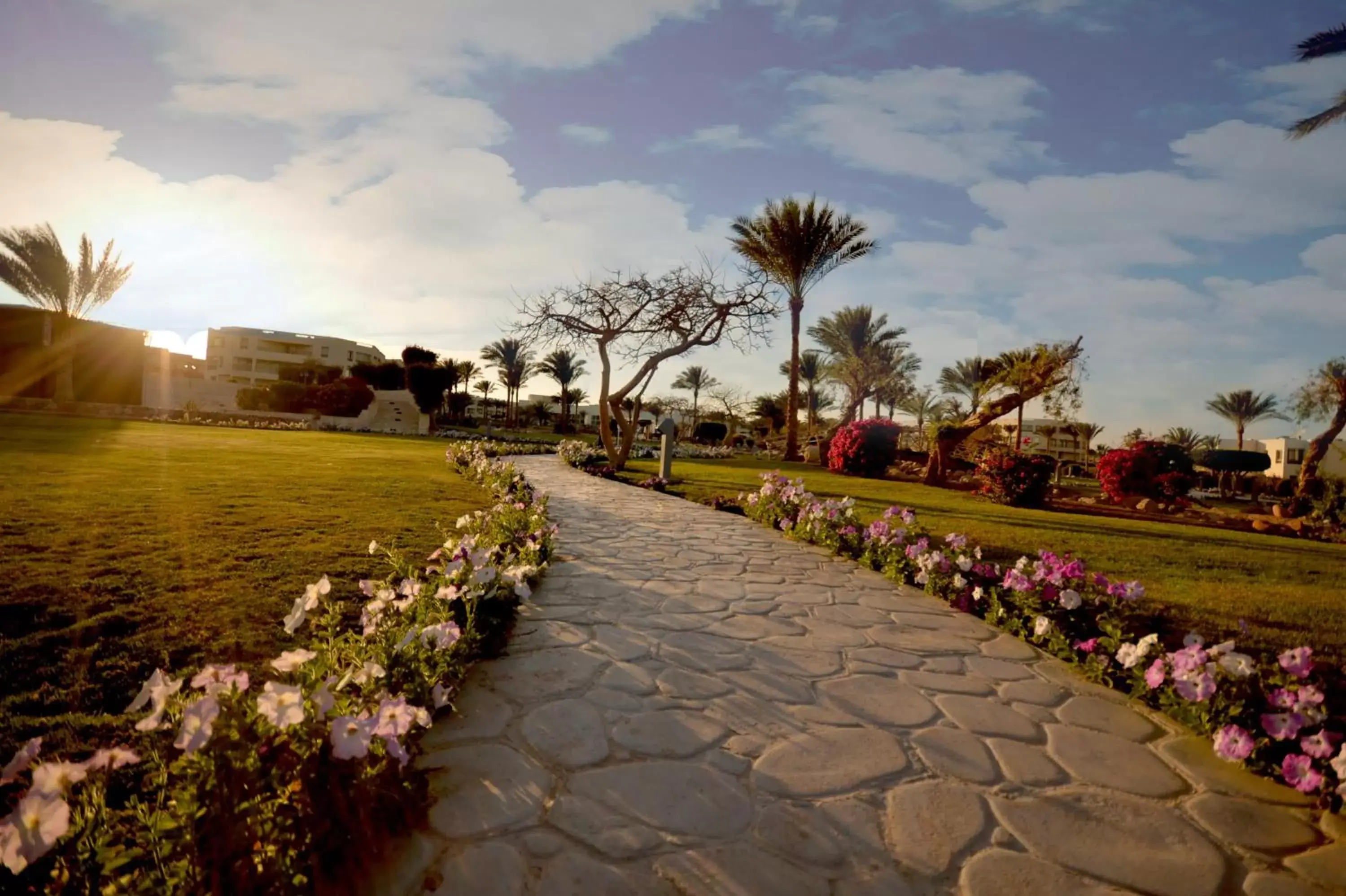 Garden in Aurora Oriental Resort Sharm El Sheikh