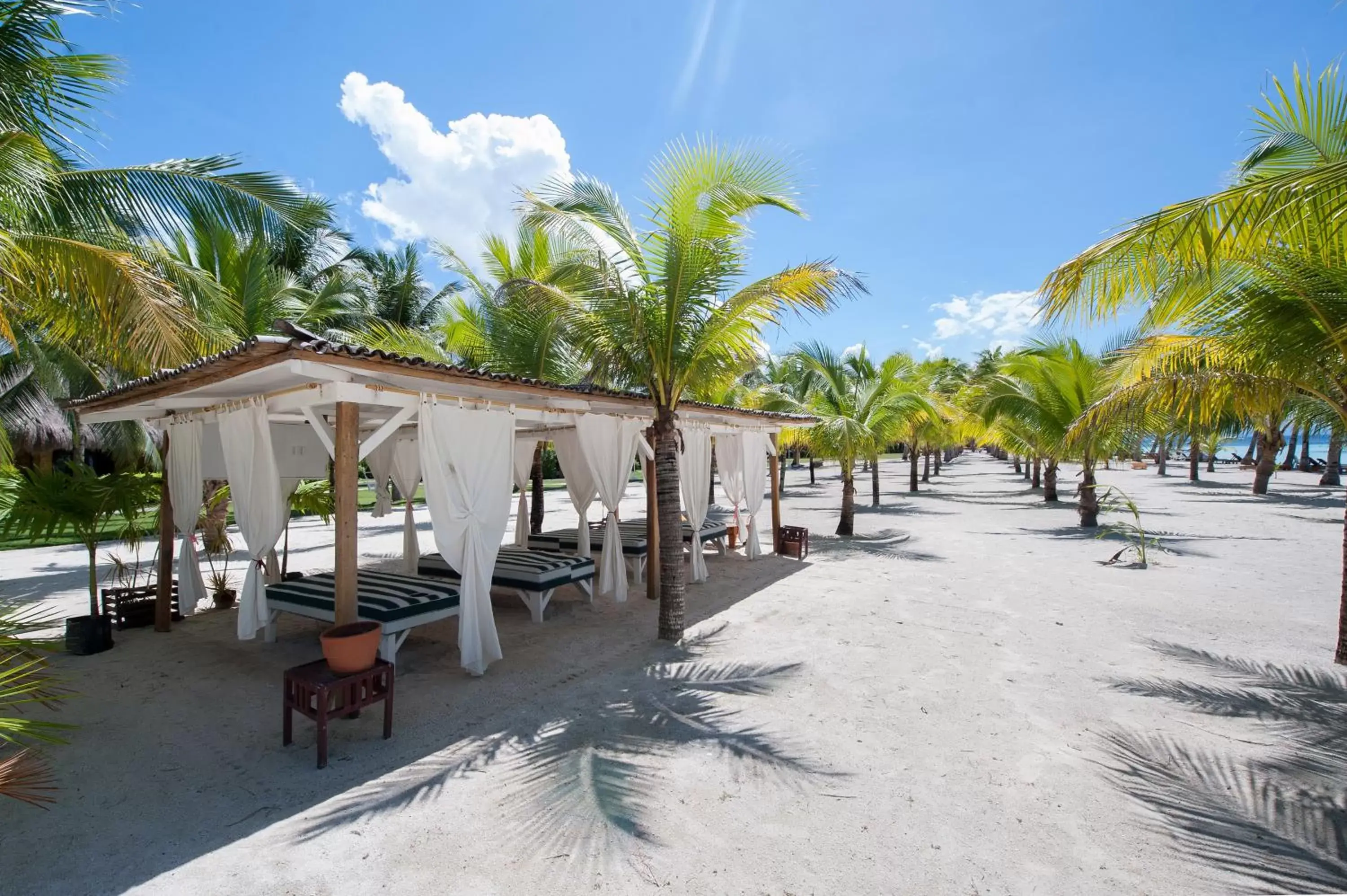 Beach in Bohol Beach Club