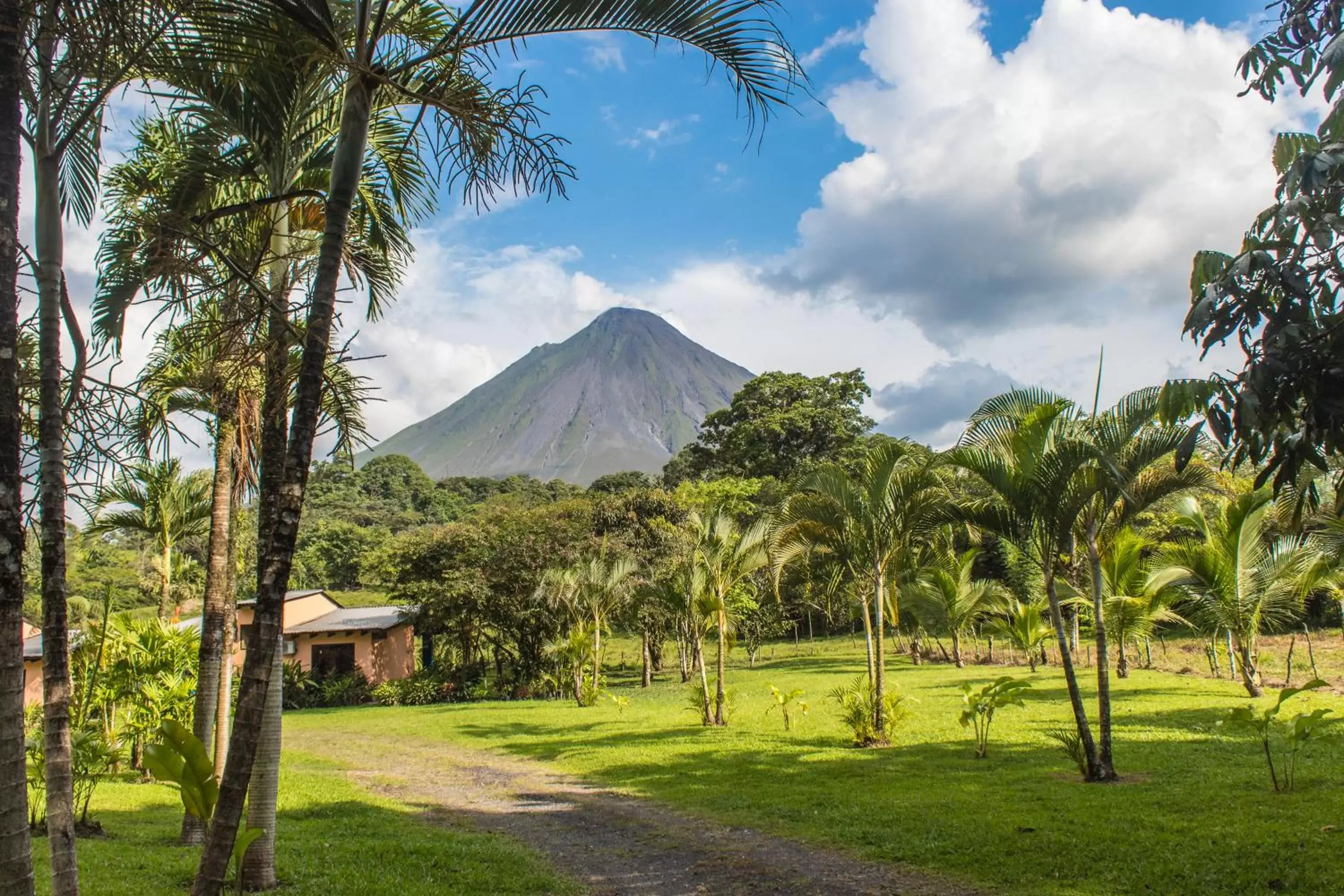 Garden in Confort Arenal