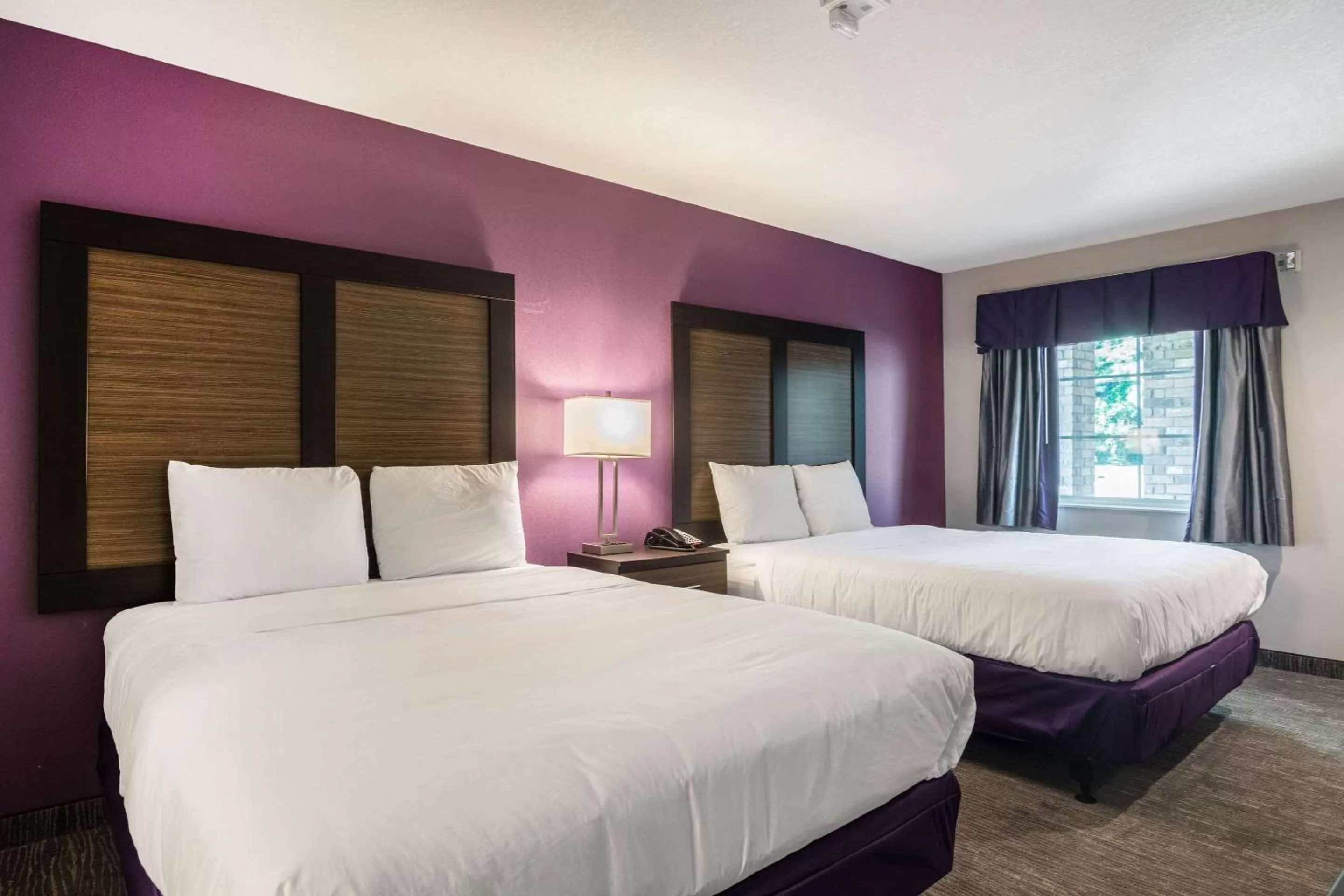 Photo of the whole room, Bed in Econo Lodge Inn & Suites North Little Rock near Riverfront