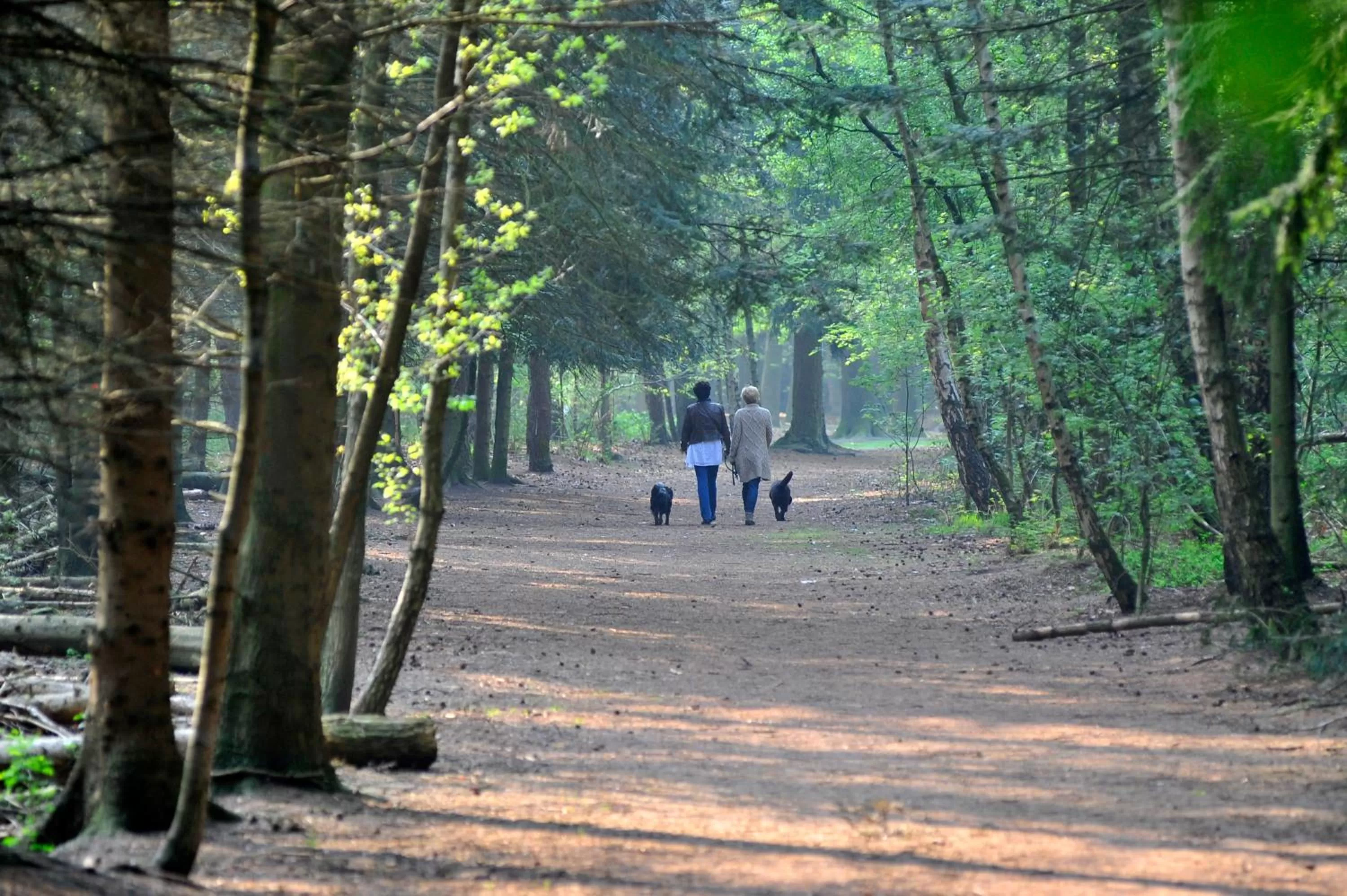 Hiking in Parkhotel Mastbosch Breda