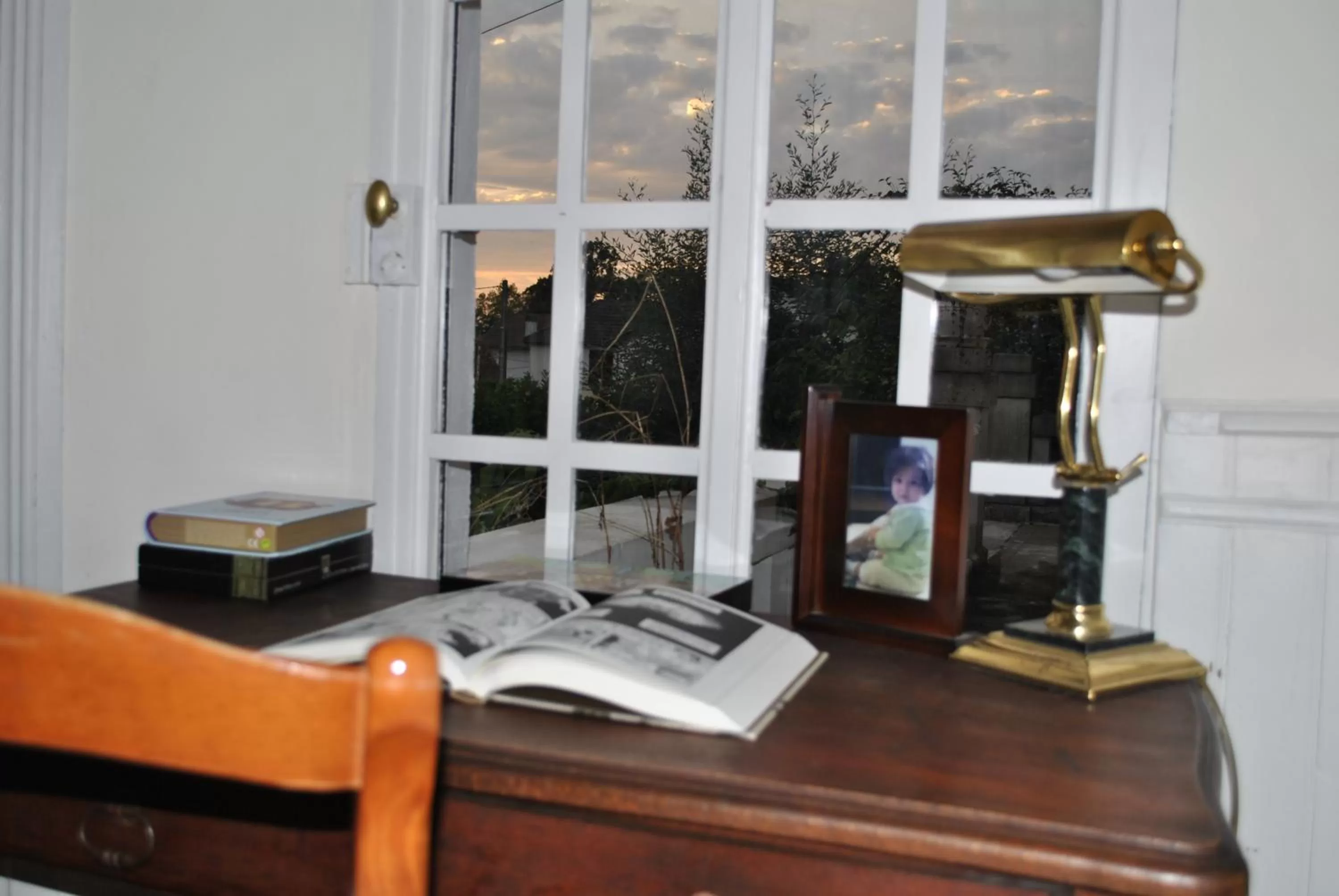 Library in Villa Hortebise