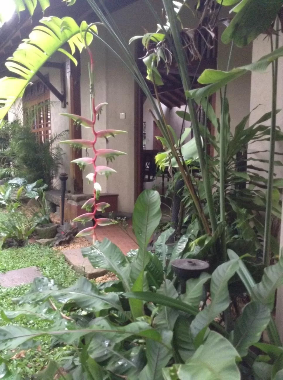 Patio in Highbury Colombo