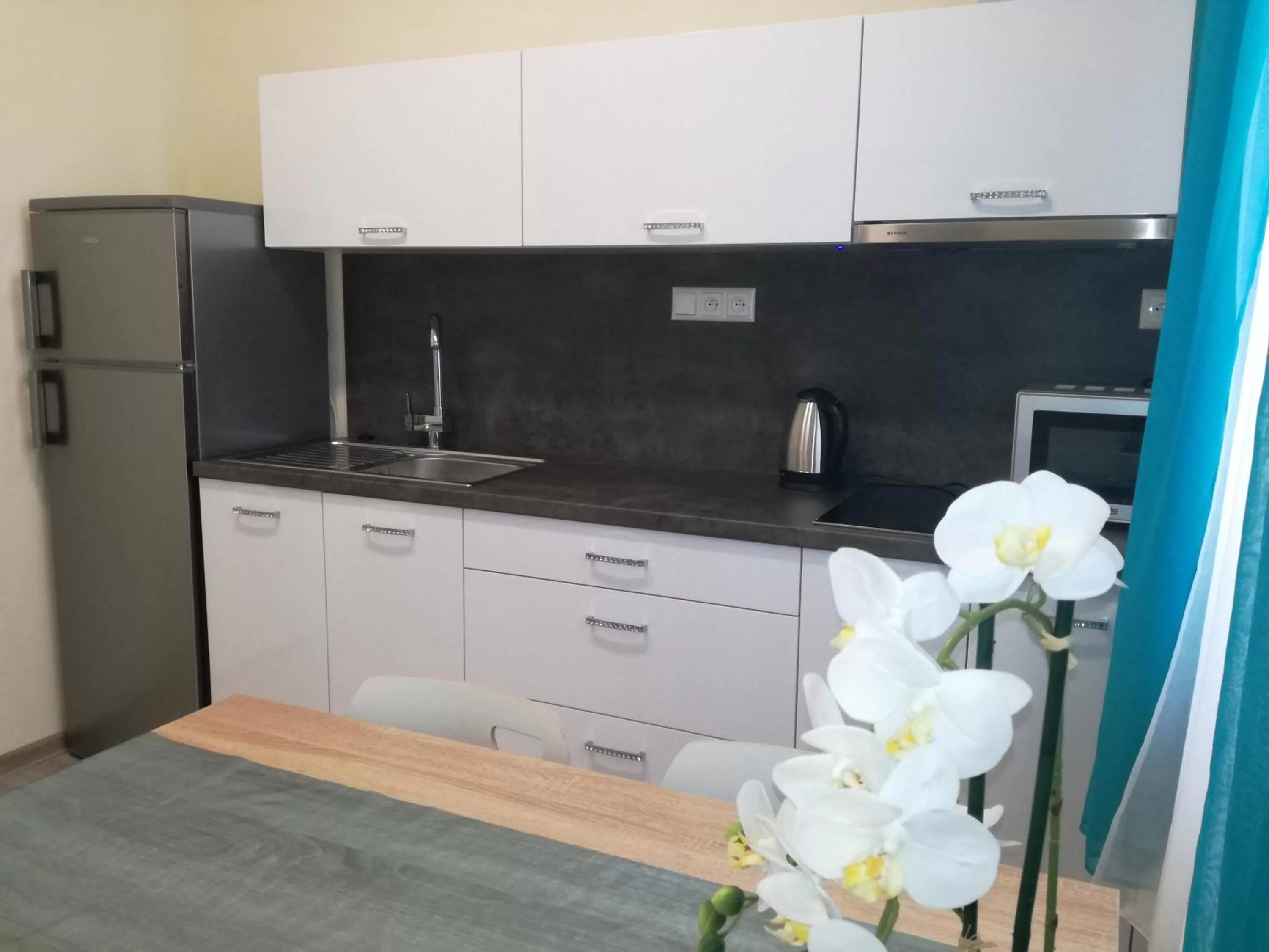 Kitchen or kitchenette in garni Hotel S.O.G.* * *