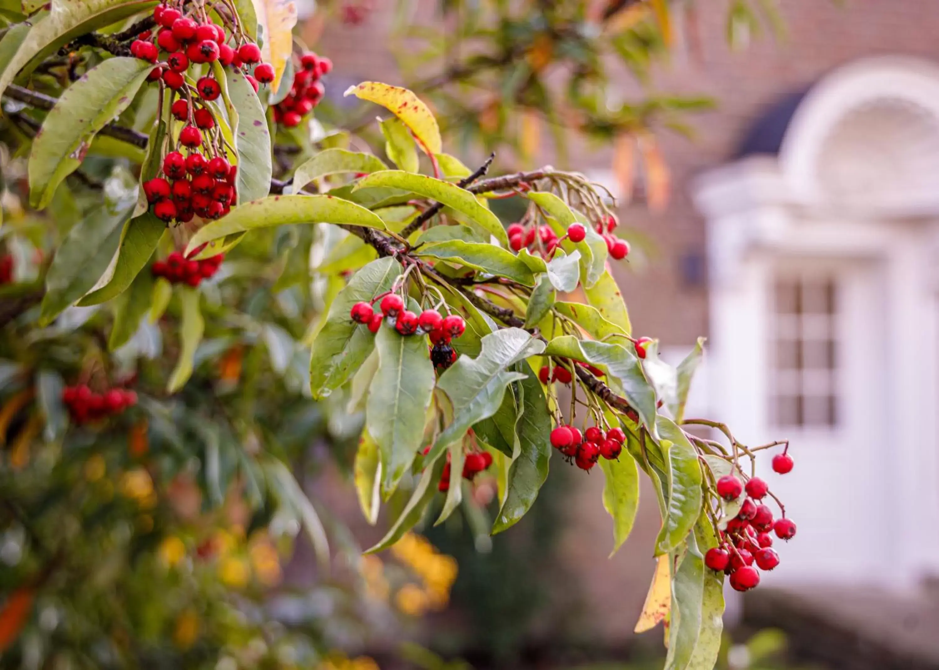 Winter in Barnett Hill Hotel