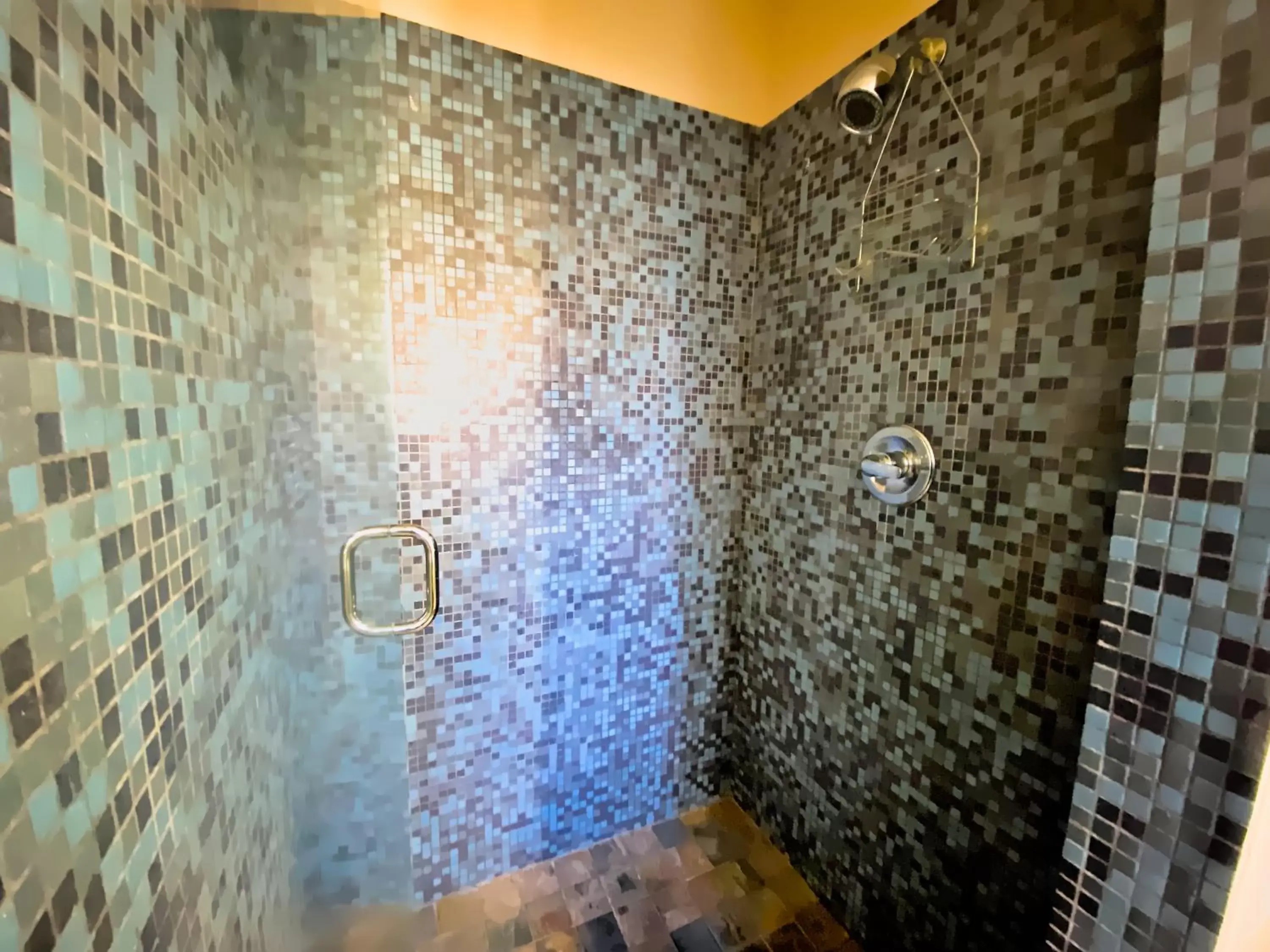Shower, Bathroom in Ashland Motel - University