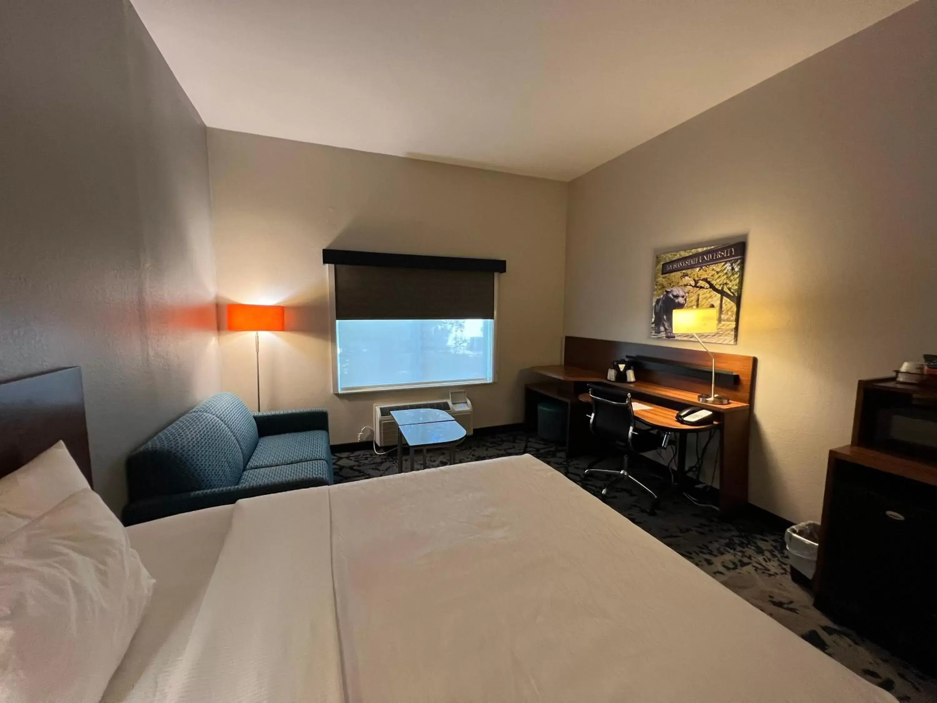 Bedroom, TV/Entertainment Center in Best Western LSU/Medical Corridor Inn & Suites