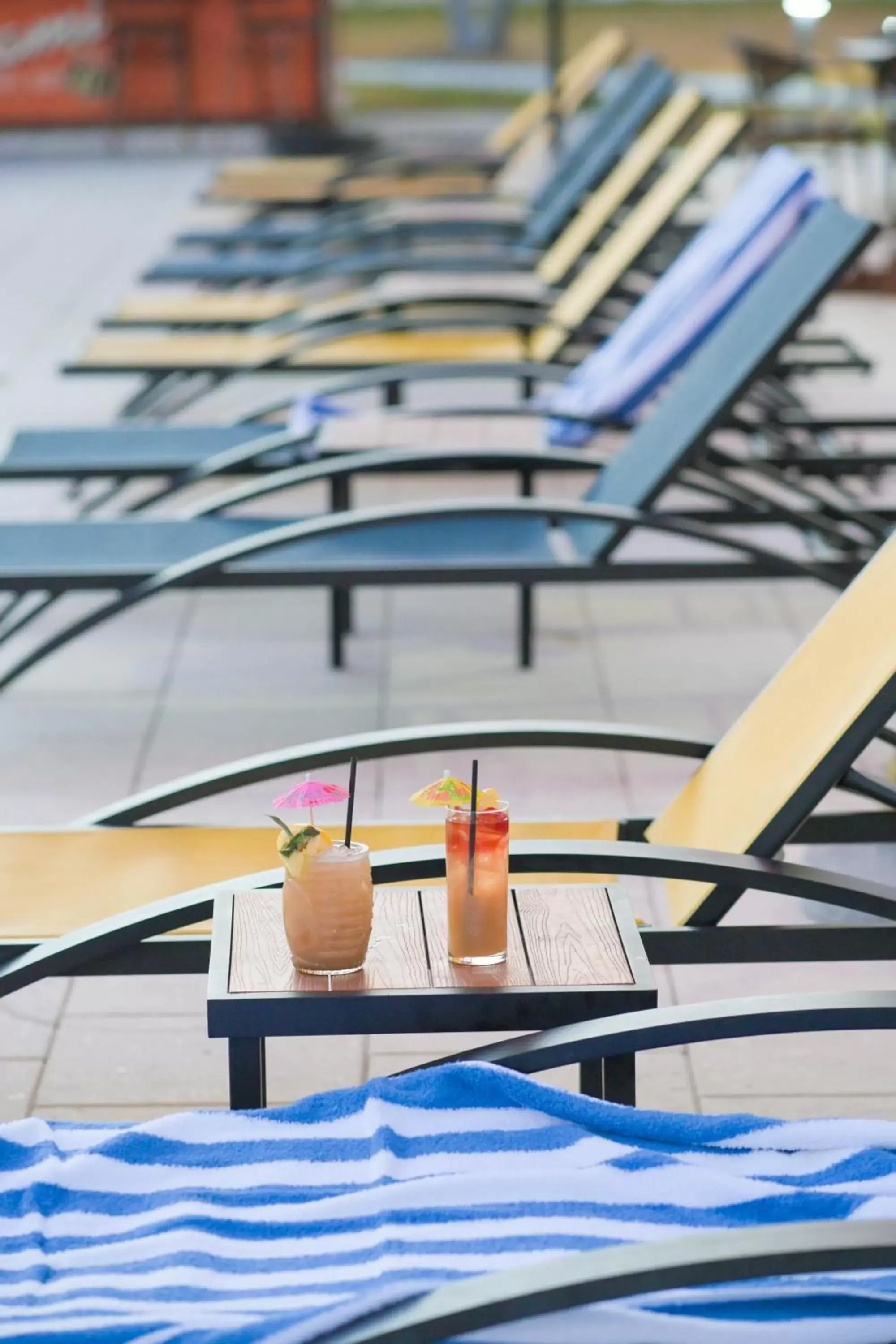 Pool view in Golden Host Resort Sarasota