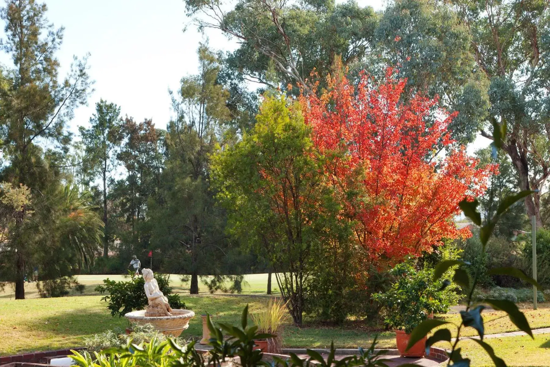 Garden in Plumes Boutique Bed & Breakfast