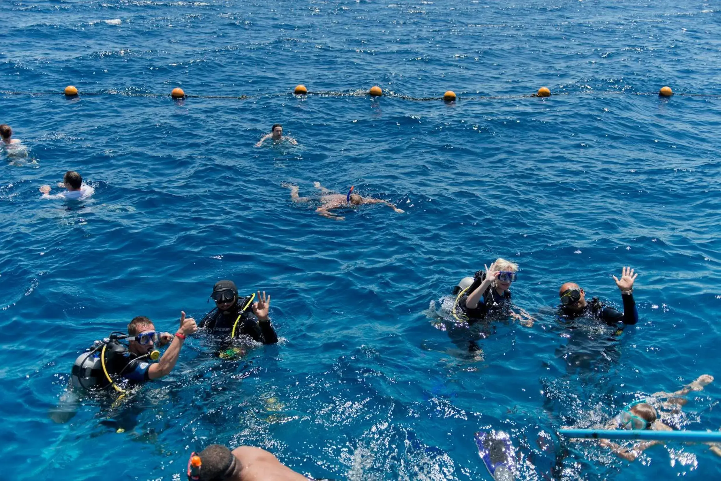 Snorkeling, Other Animals in Amphoras Beach